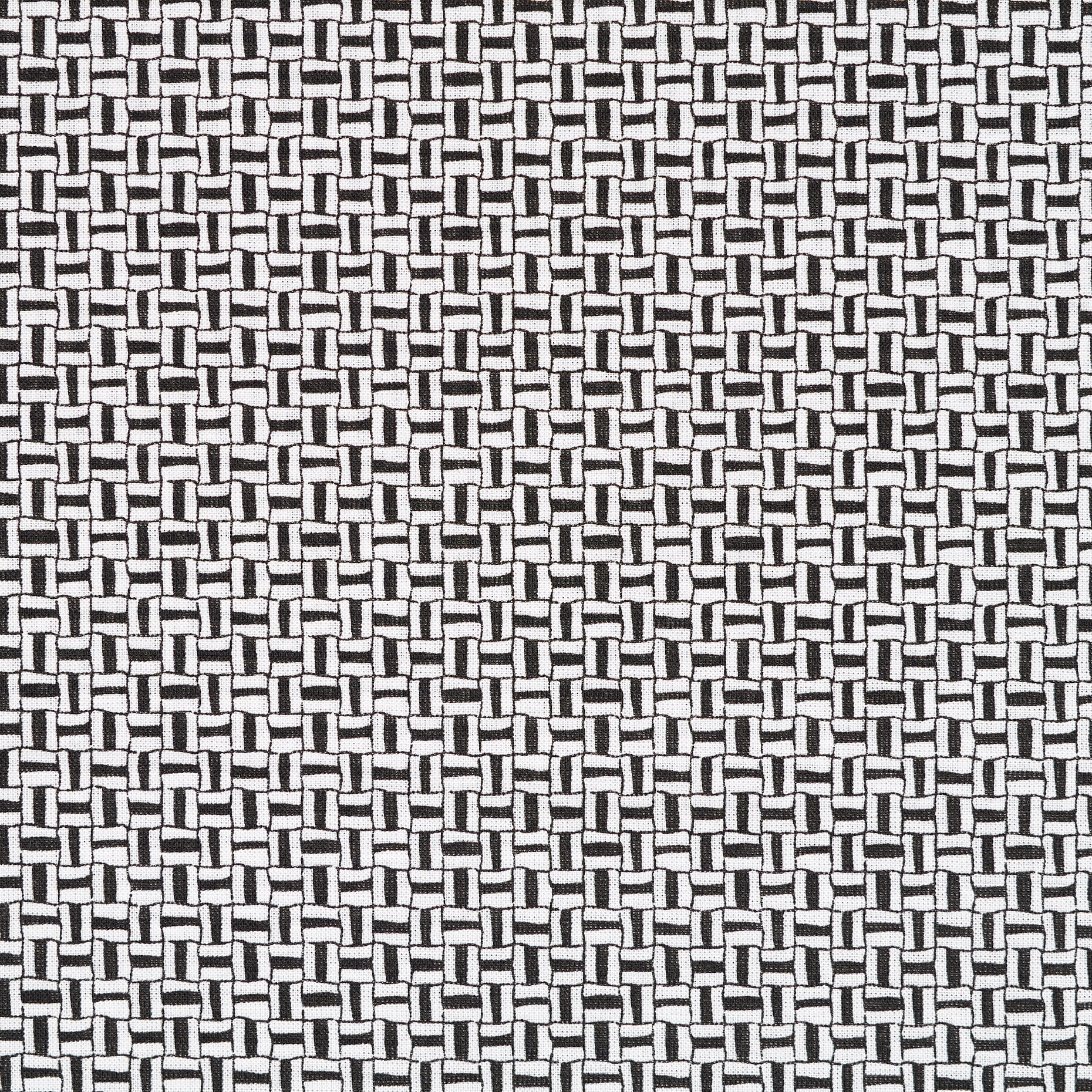 BATISTE, COTTON, PRINTED, RAVEN BLACK&CLOUD (F000043901) - Texture