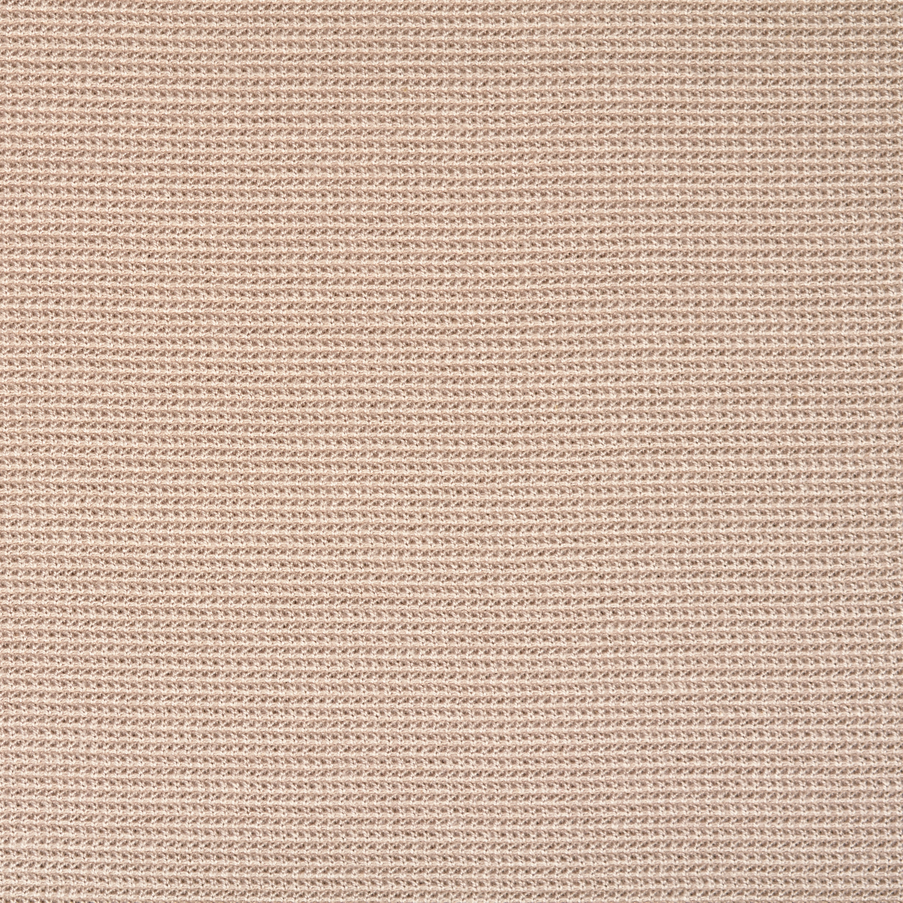 JERSEY, COTTON, MICRO DESIGN, PETAL PINK (F000047866) - Texture