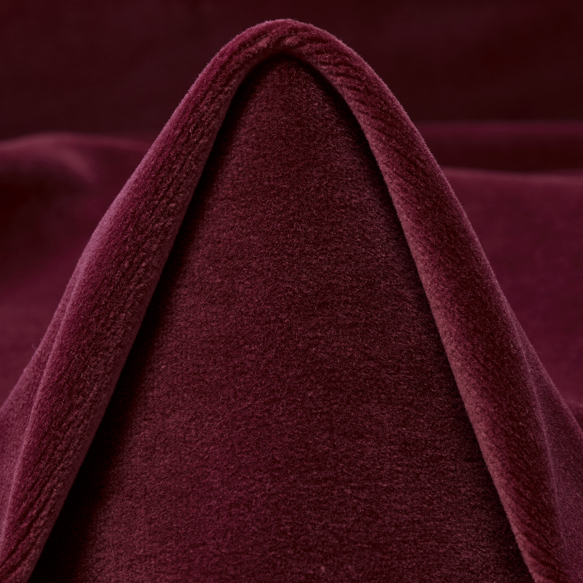VELVET, COTTON, POMEGRANATE (C0003690)