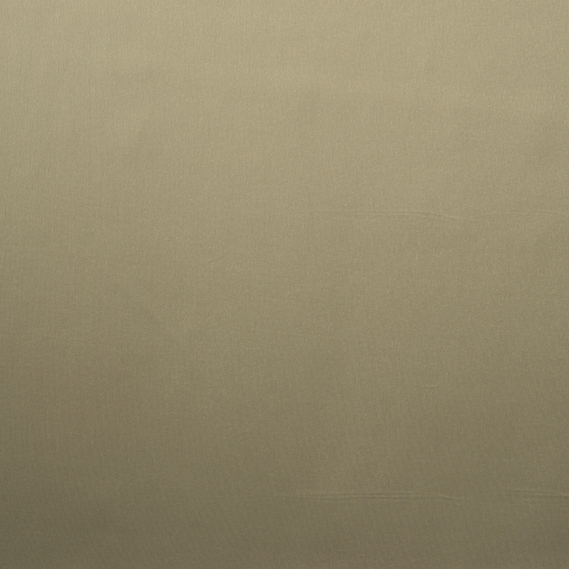 LINING, ELASTIC, KHAKI (F000019564) - Texture