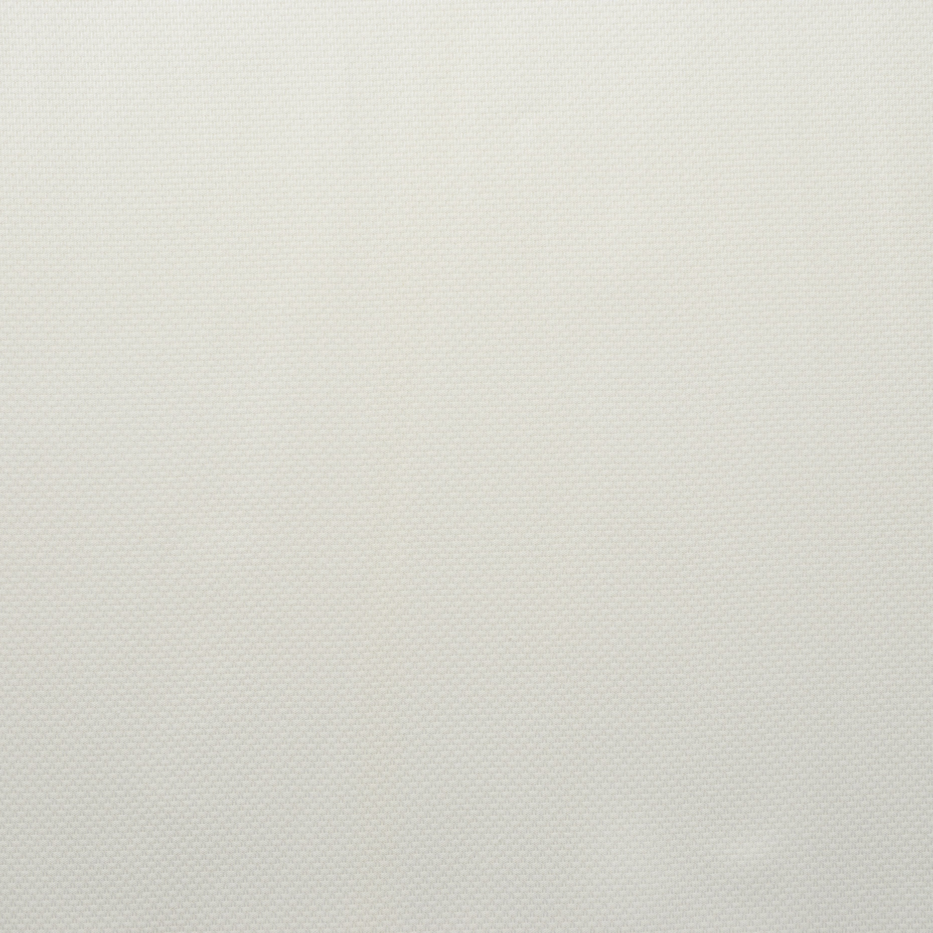 Bawełna, Mikrostruktura, Snow White (F000026945) - Tkana