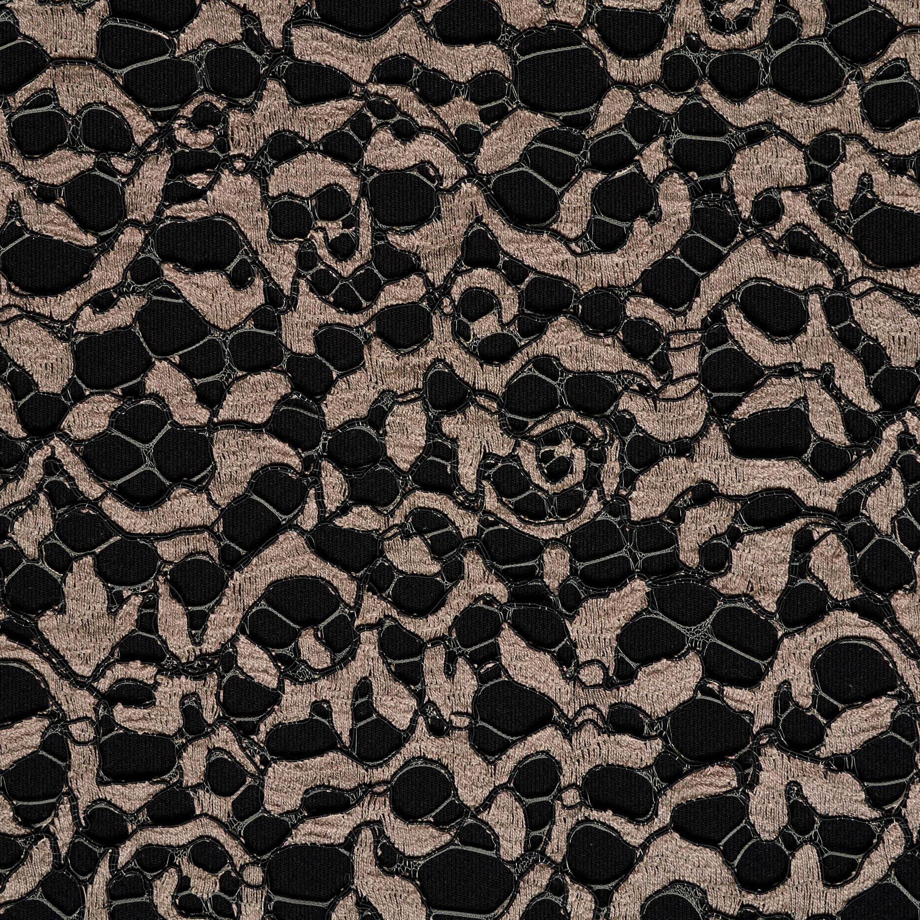LACE, COTTON, VISCOSE, SIMPLY TAUPE&JET BLACK (F000045648) - Texture