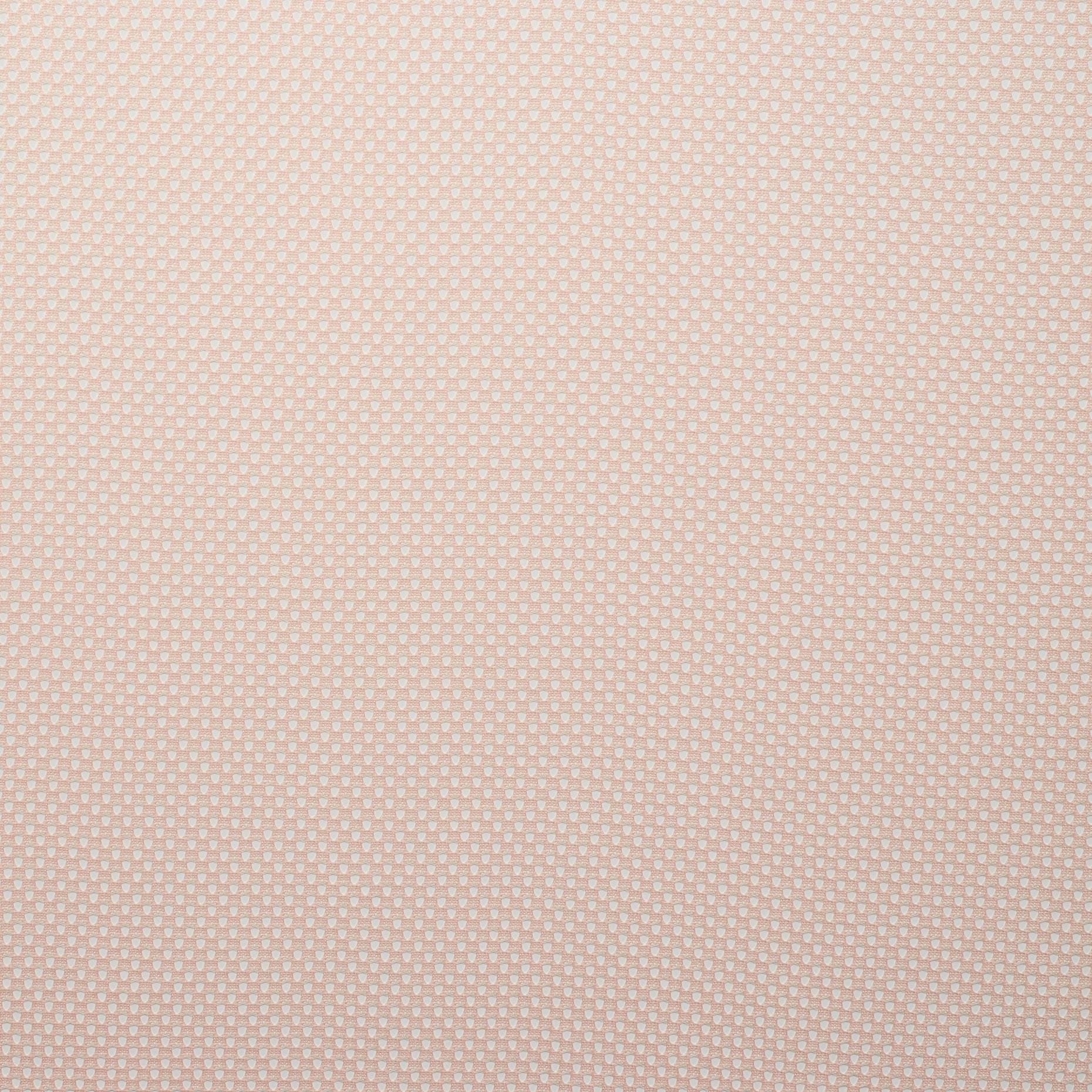 LINING, MESH, ROSE QUARTZ (F000024991) - Texture