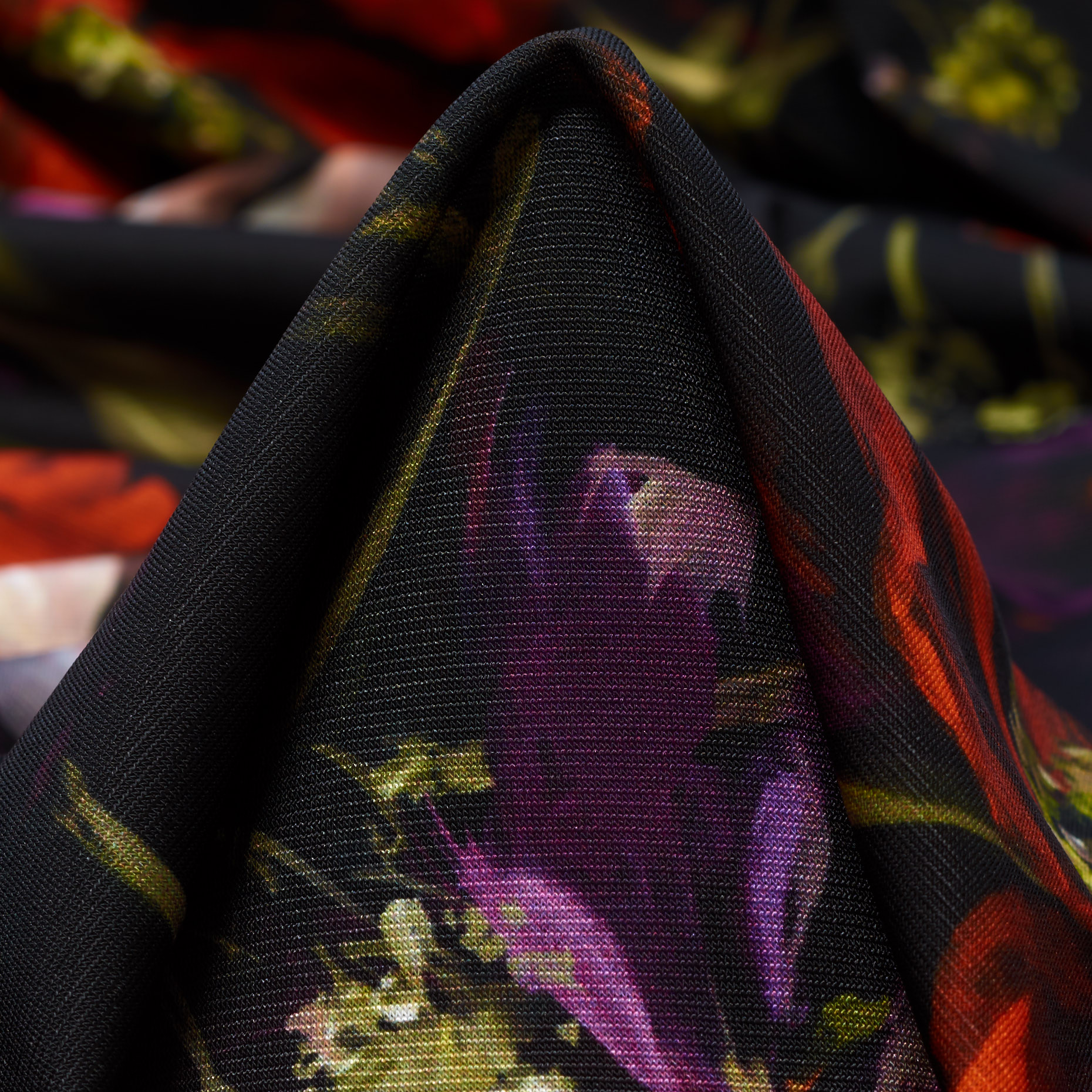 Techno Jersey, Imprimé, Haute Elasticité, Summer Fig&Raven Black (F000041475)