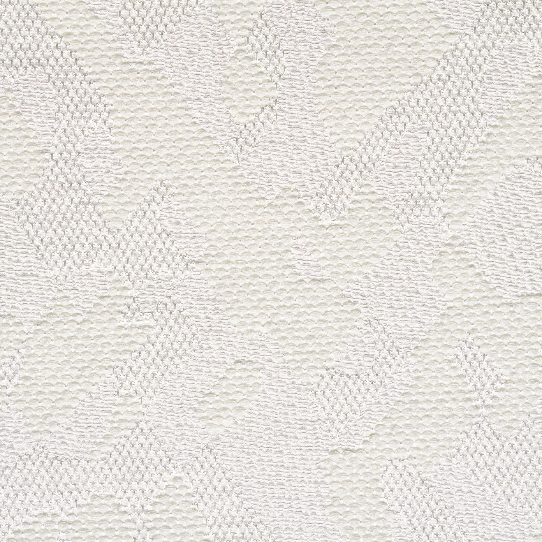 Żakard, Bawełna, Ton w ton, Lucent White (F000048676) - Tkana