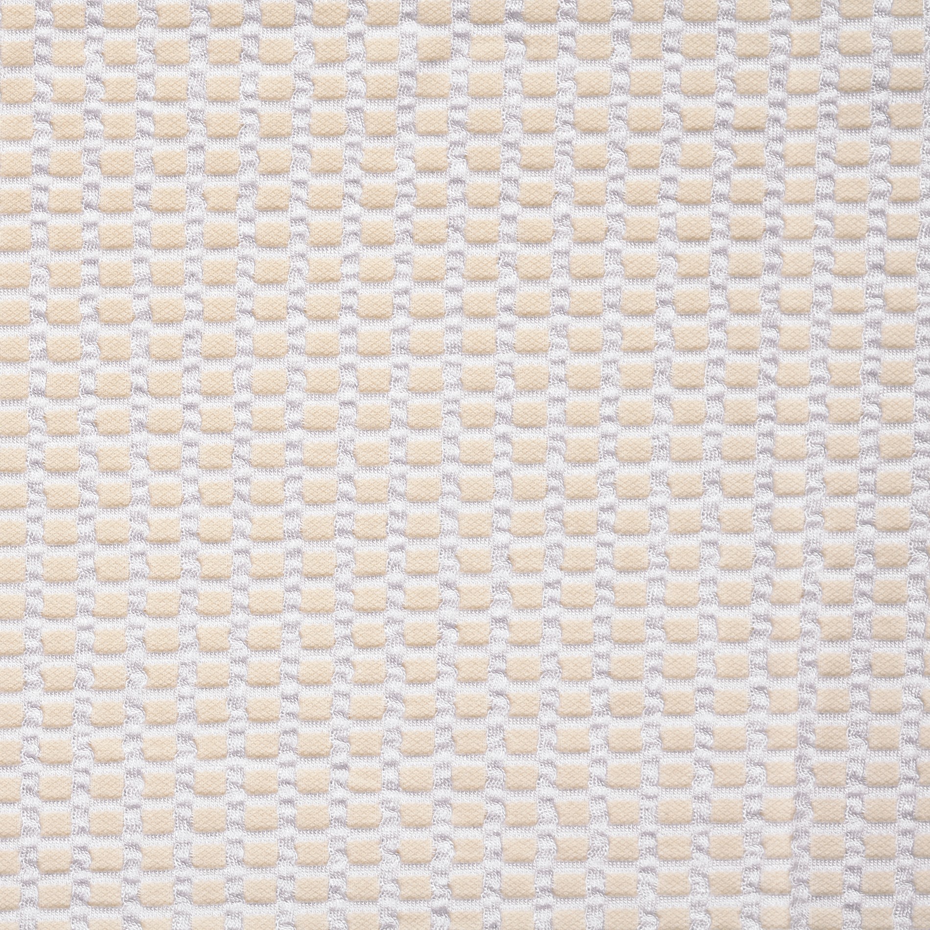 JERSEY, BRIDAL BLUSH&SNOW WHITE (F000032474) - Texture