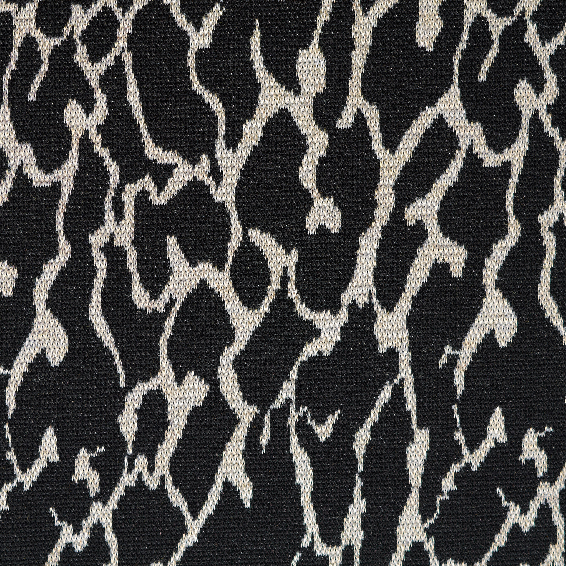 JACQUARD, JERSEY, VISCOSE, MARSHMALLOW&RAVEN BLACK (F000043139) - Texture