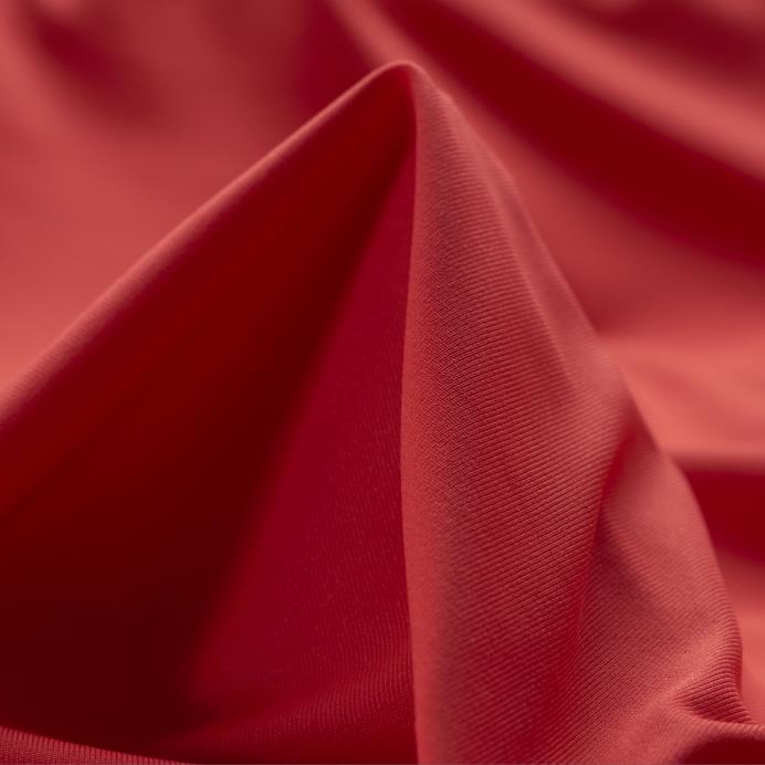 JERSEY, CHERRY TOMATO (F000027750)