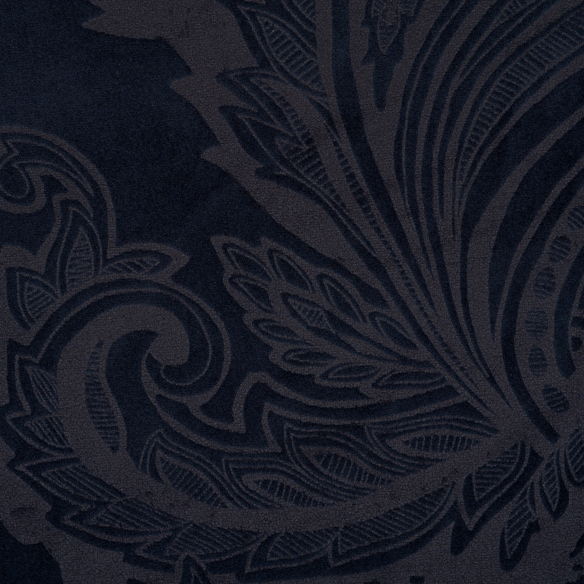 JERSEY, VELVET, PRINTED, PARISIAN NIGHT (F000036129) - Texture