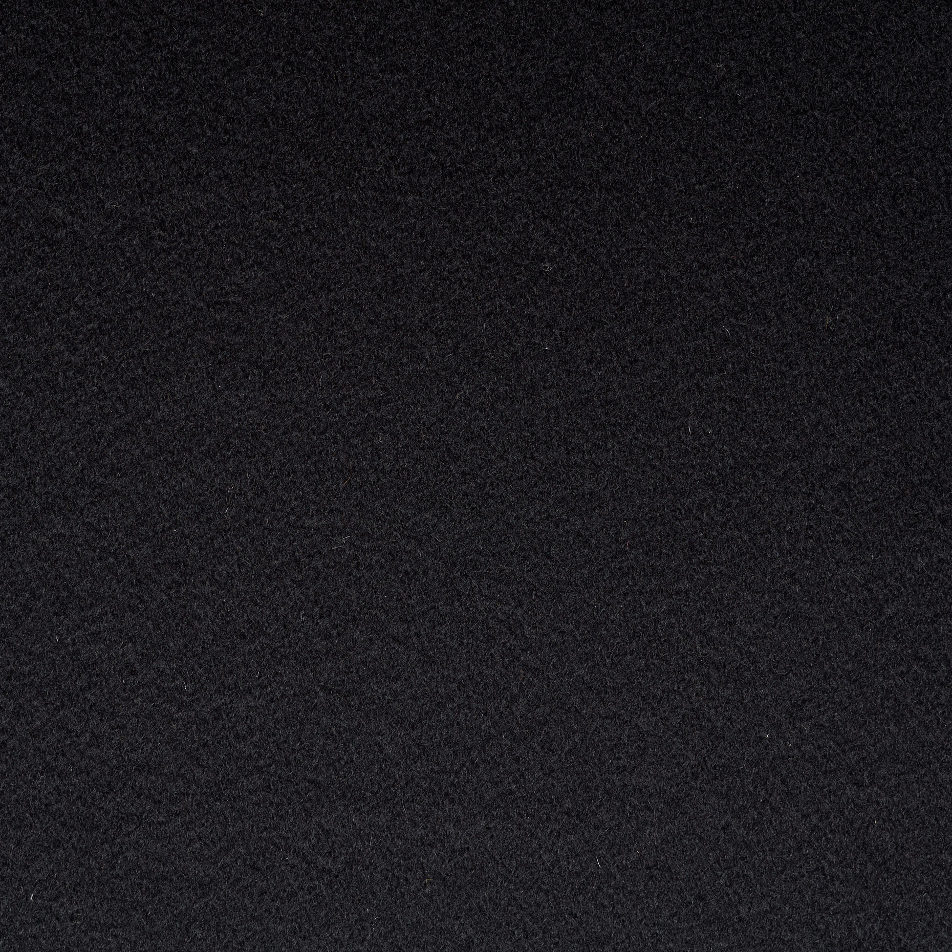 FLANNEL, PURE CASHMERE, RAVEN BLACK (F000043205) - Texture