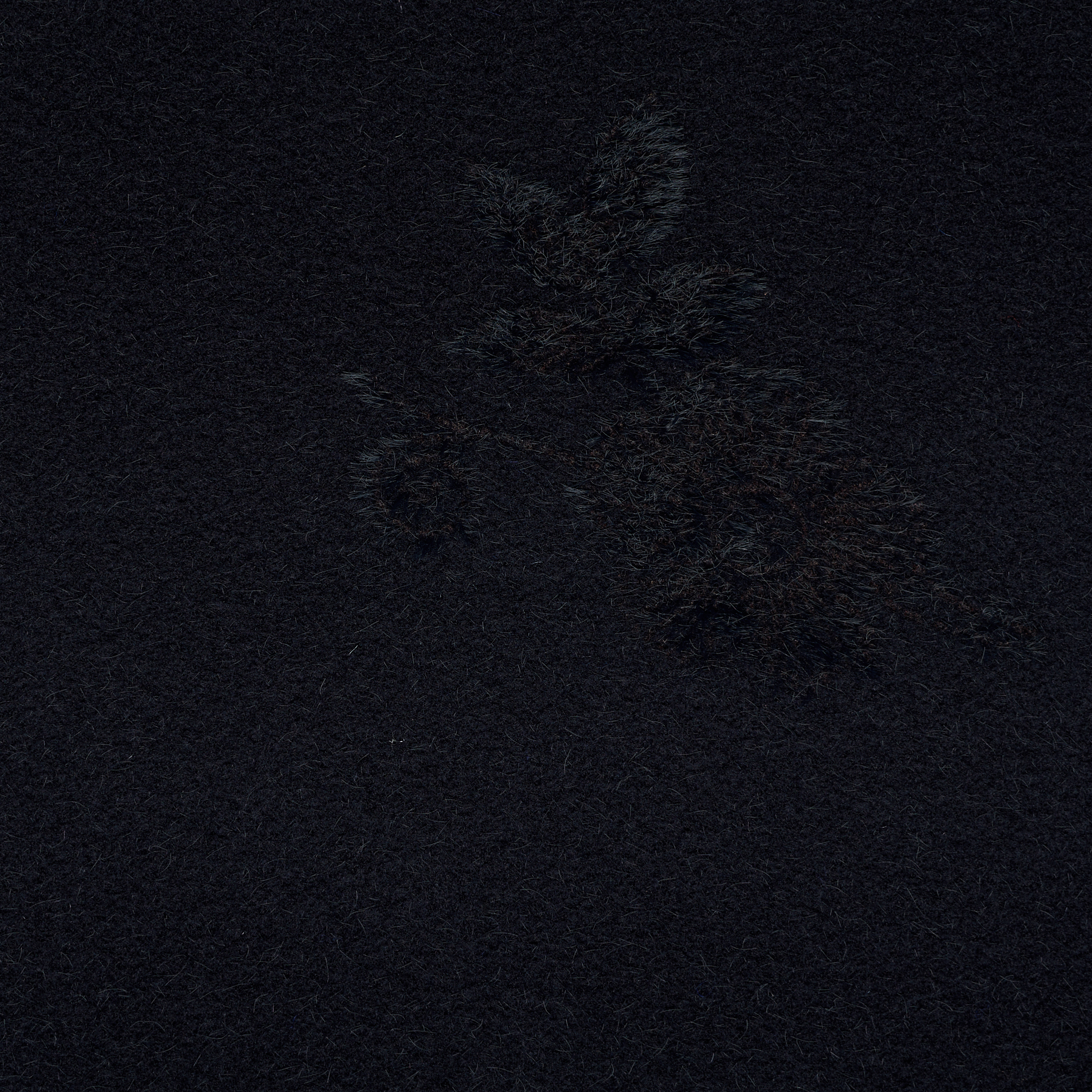 JACQUARD, WOOL, FLORAL, POLAR NIGHT (F000034075) - Texture