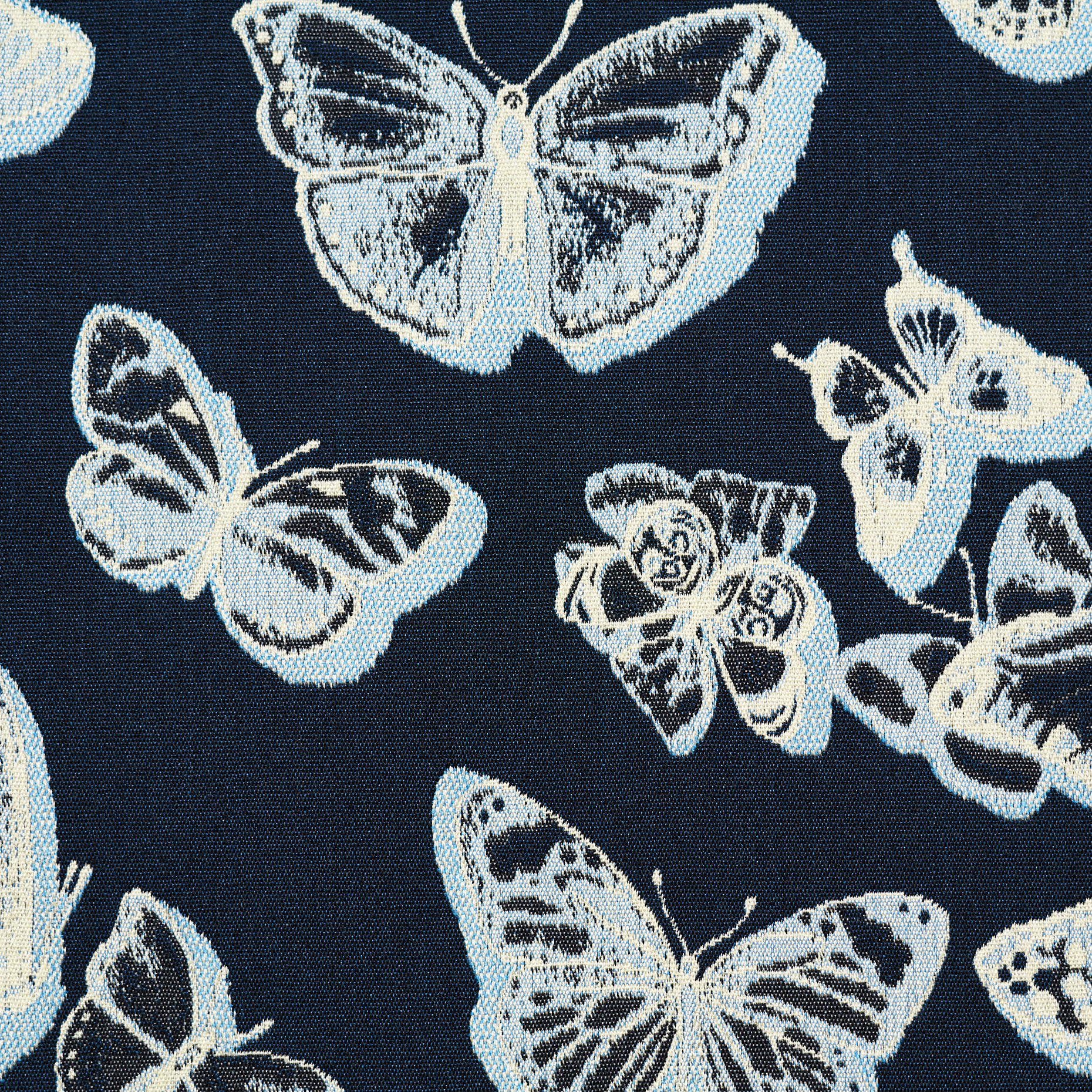 JACQUARD, COTTON, INKWELL&ANTIQUE WHITE (P000002860) - Texture