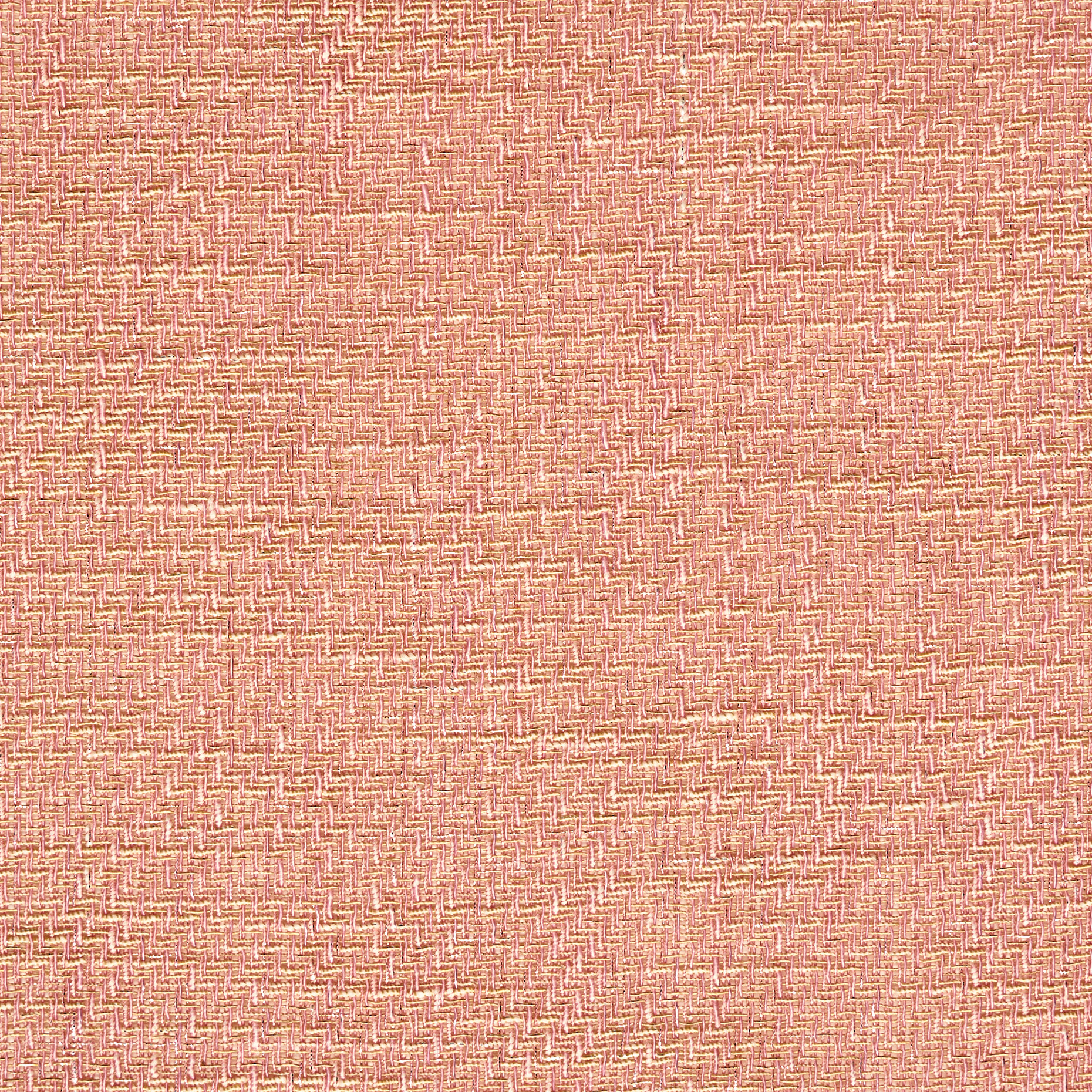 Cotone, Lurex, Trasparente, English Rose (F000018771) - Trama