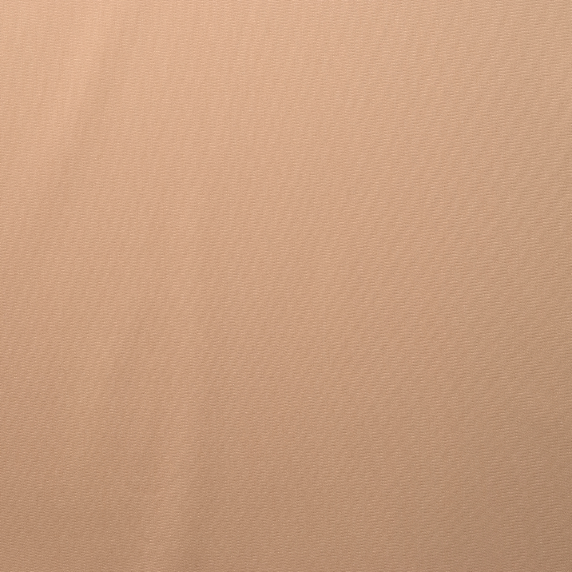 POPLIN, COTTON, ELASTIC, CRÈME DE PÊCHE (F000015922) - Texture