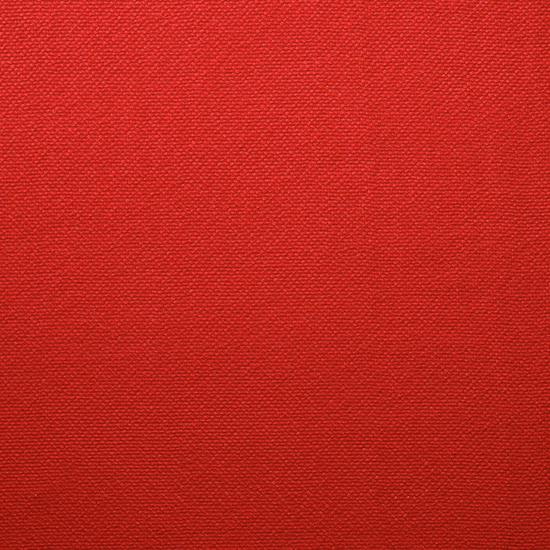 COTTON, ADRENALINE RUSH (F000024494) - Texture