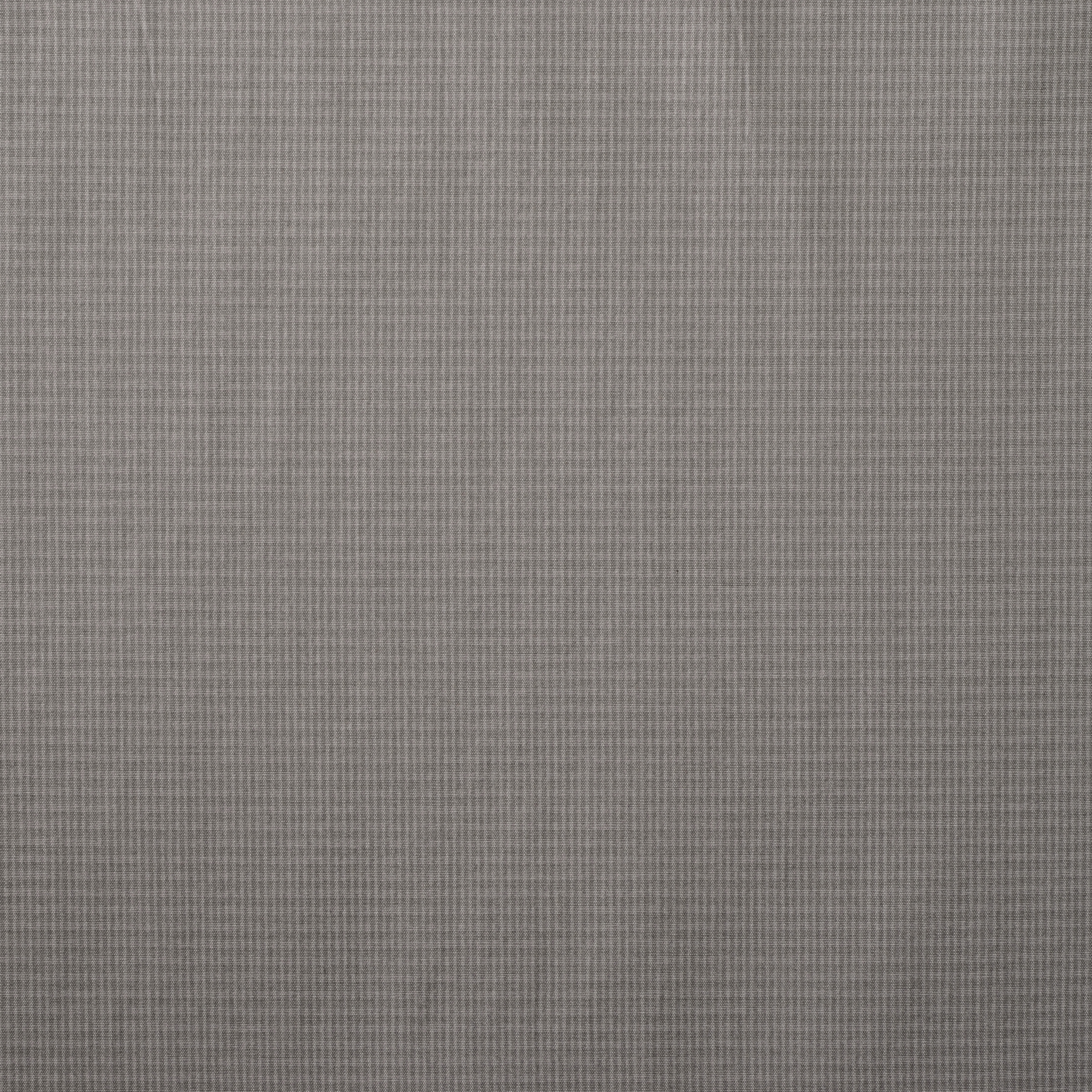 COTTON, ELASTIC, MICRO DESIGN, ASH (F000019865) - Texture