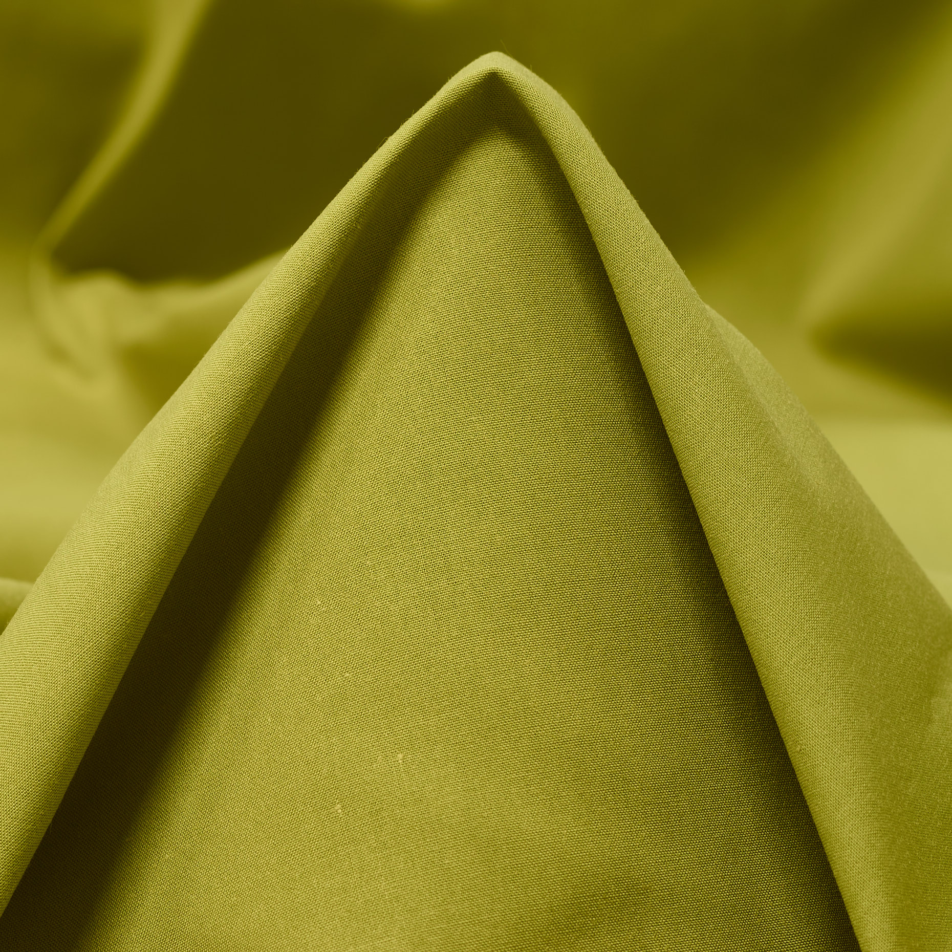 POPLIN, COTTON, FERN (F000043331)