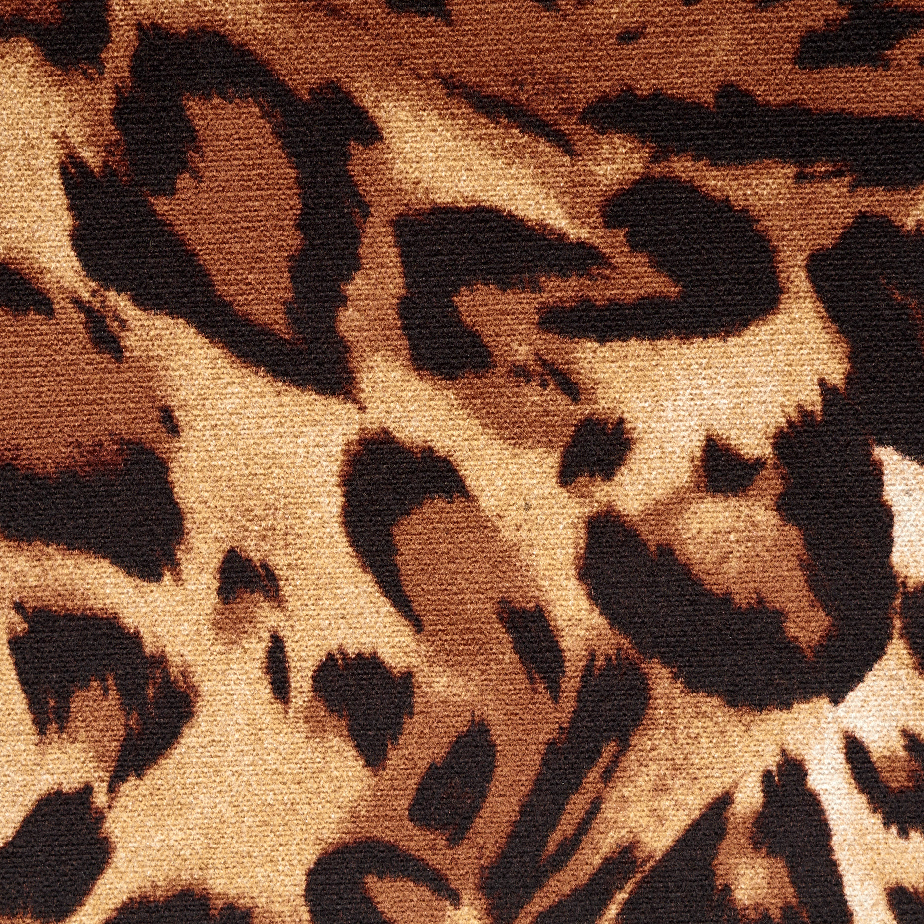 FLEECE, VISCOSE, ANIMAL, MAPLE SUGAR (F000045376) - Texture