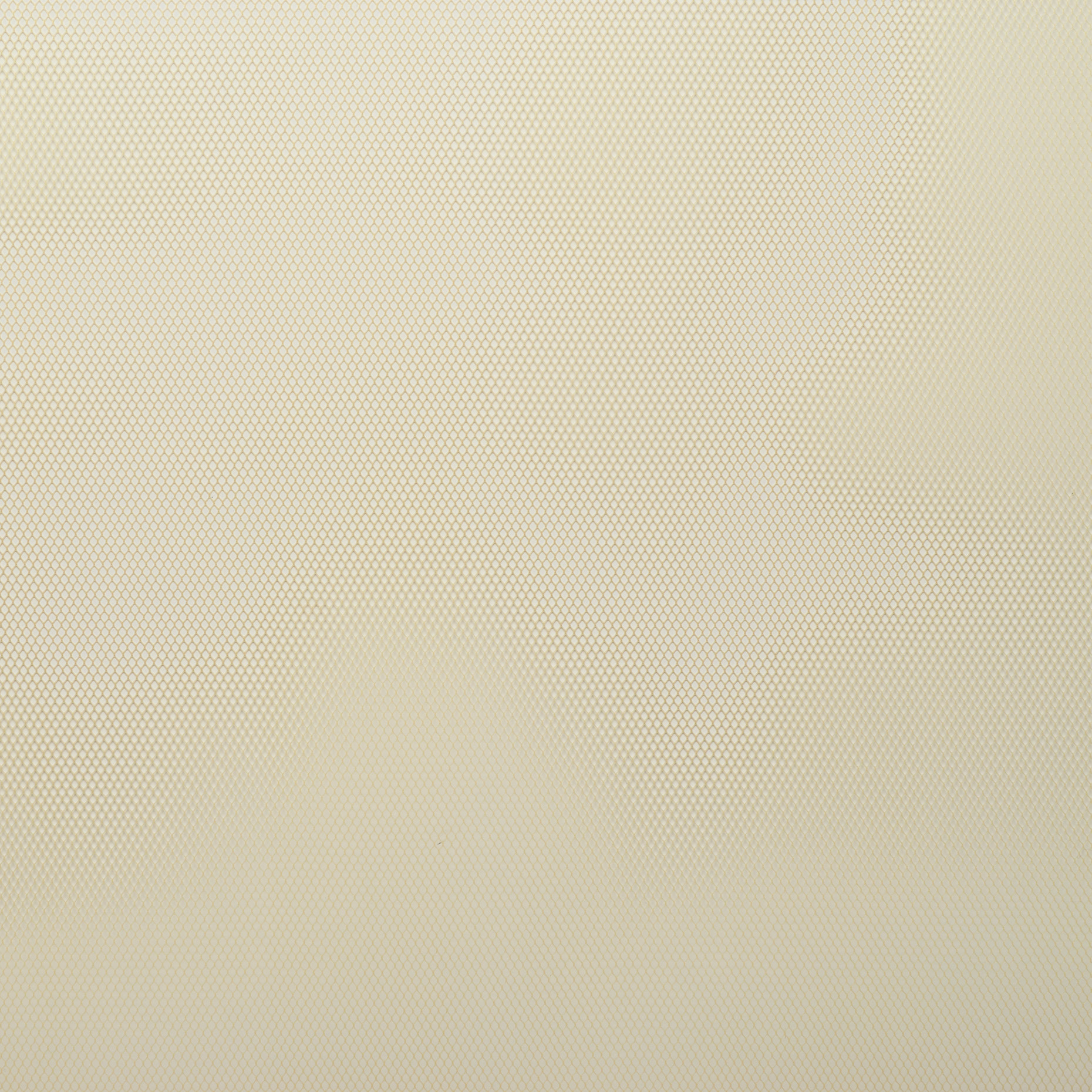 Тюль, Полиамид, Almond (F000024542) - Ткань