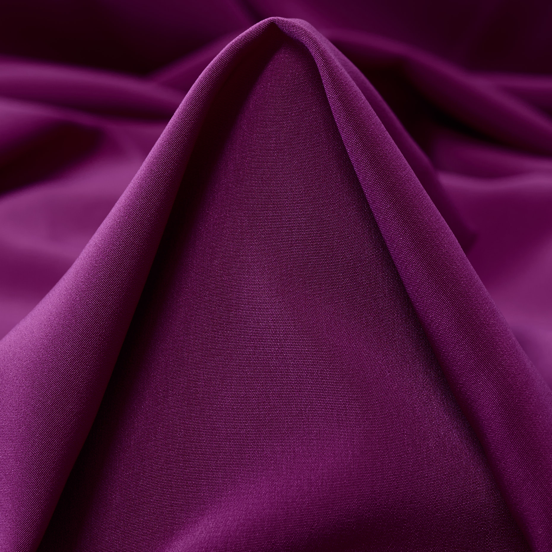 OUTDOOR, DAHLIA (F000042127)