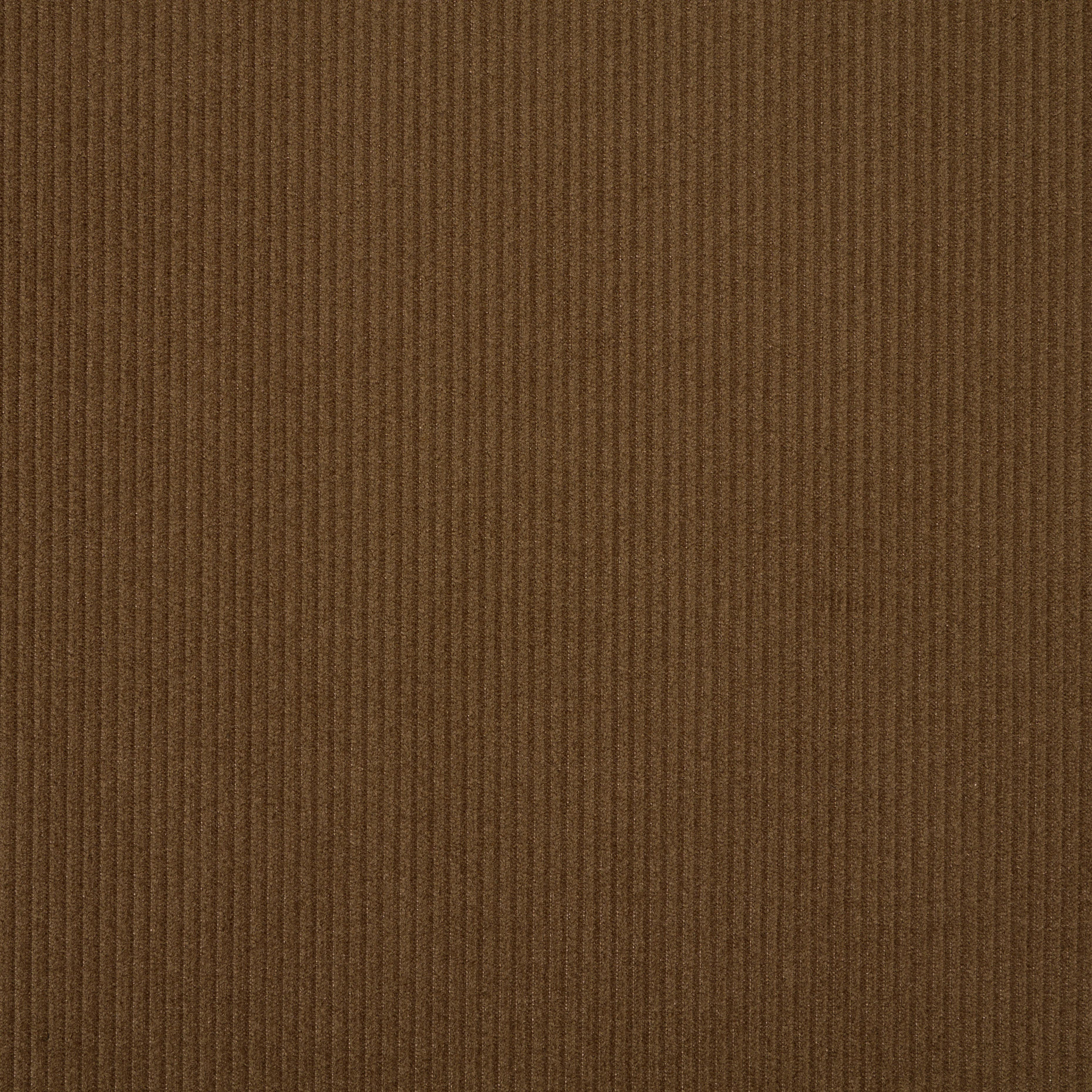 Sztruks, Bawełna, Tiramisu (F000036095) - Tkana