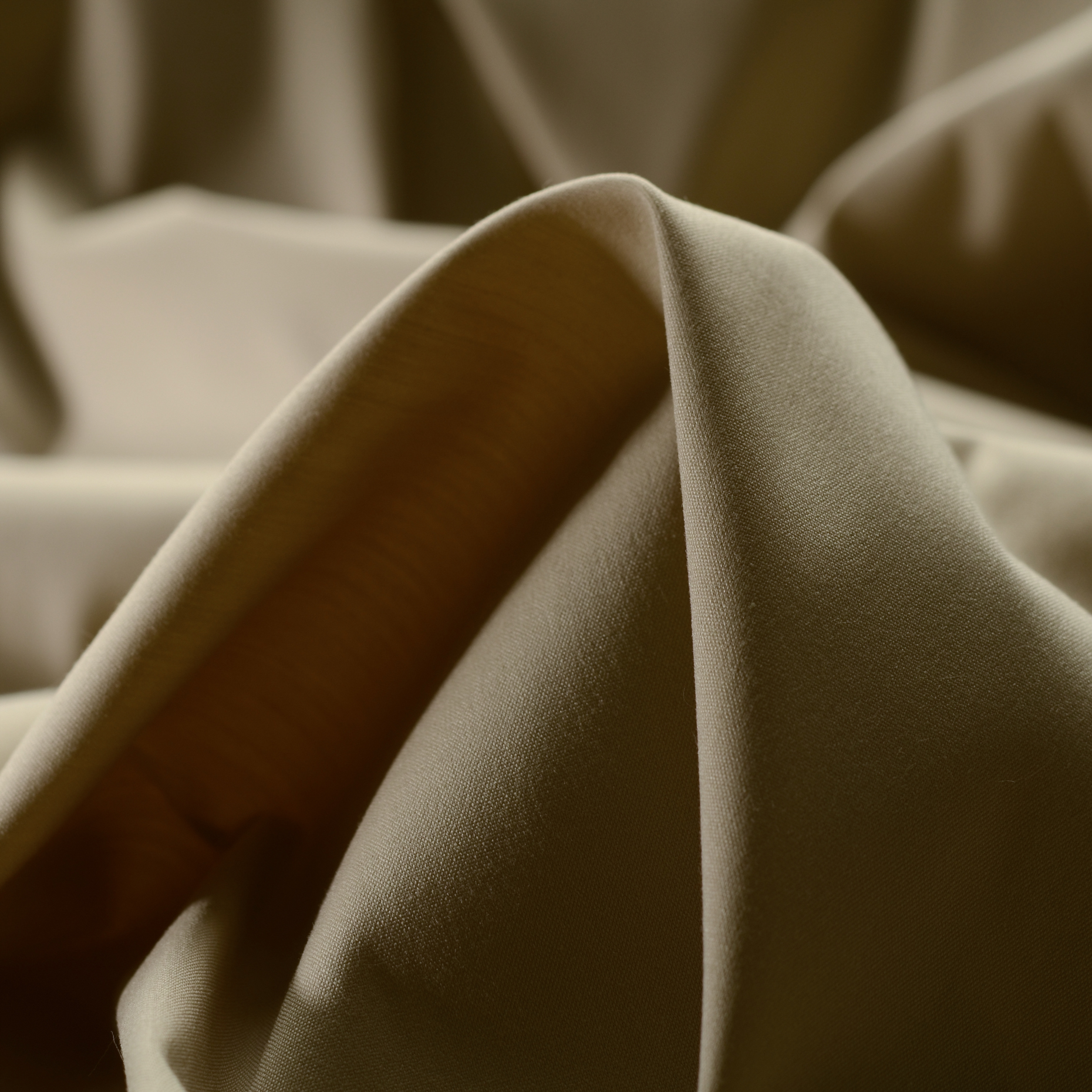 POPLIN, COTTON, ELASTIC, FRENCH OAK (F000016929)