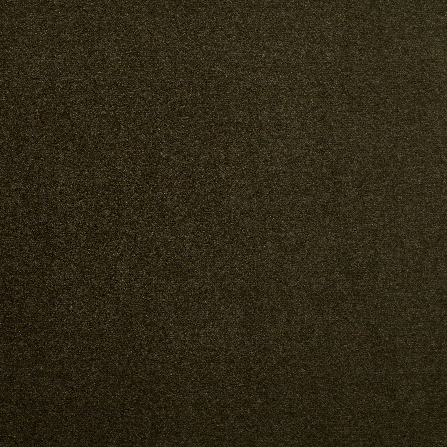 VELVET, COTTON, ELASTIC, DARK OLIVE (F000048197) - Texture