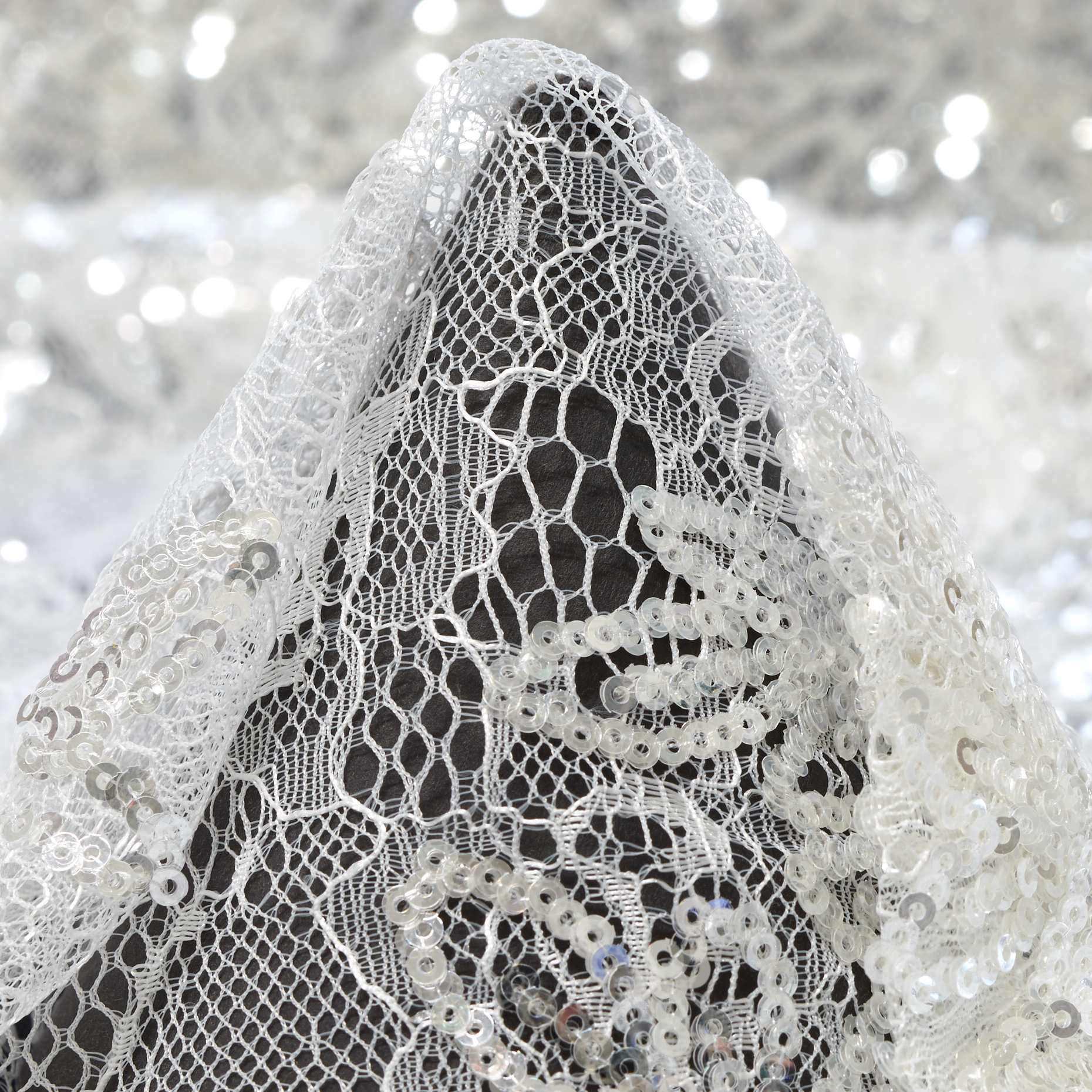 Dentelle, Paillettes, Brodé, Brilliant White&Silver (F000047178)