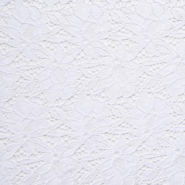 Spitze, Baumwolle, Elastik, Brilliant White (F000028687) - Gewebe