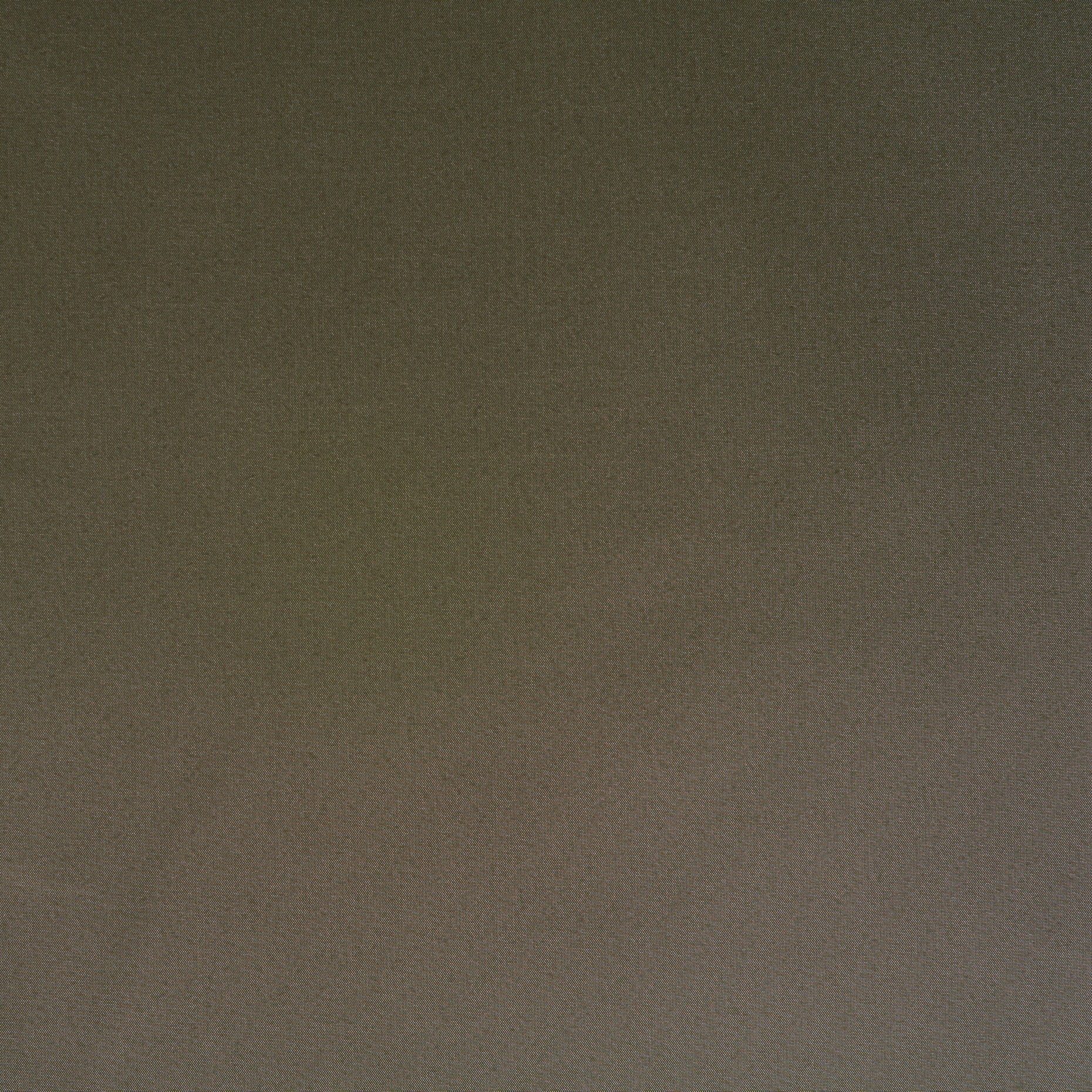 OUTDOOR, ELASTIC, TEA LEAF (F000041852) - Texture