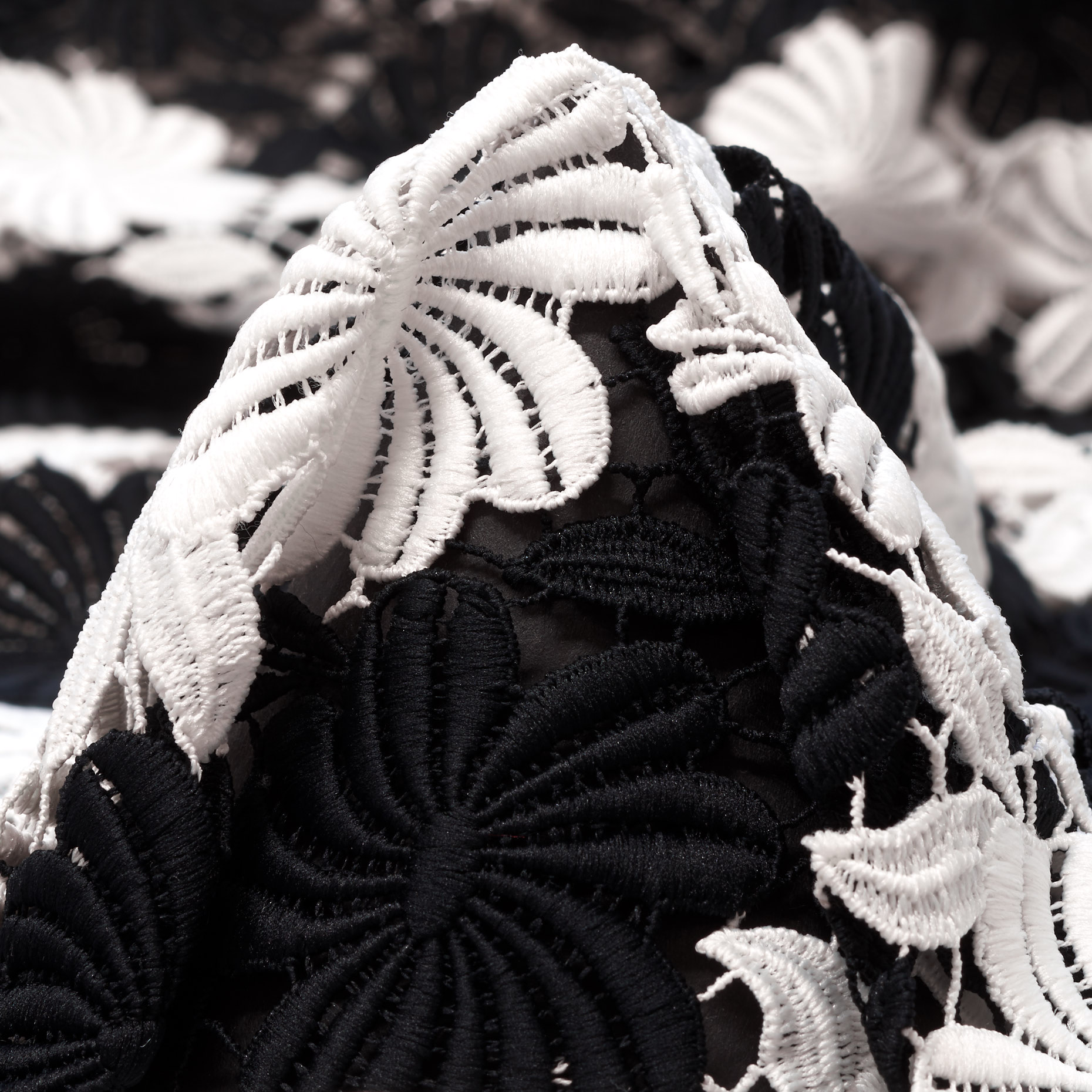 Koronka, Kwiatowy, Raven Black&Brilliant White (F000037650)