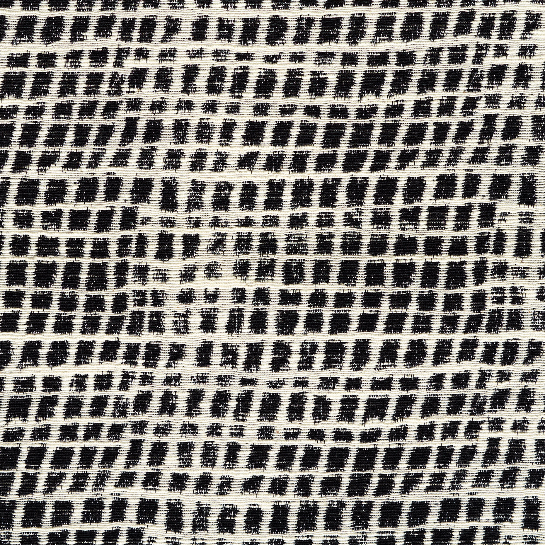 JACQUARD, COTTON, RAVEN BLACK&SNOW WHITE (F000044065) - Texture