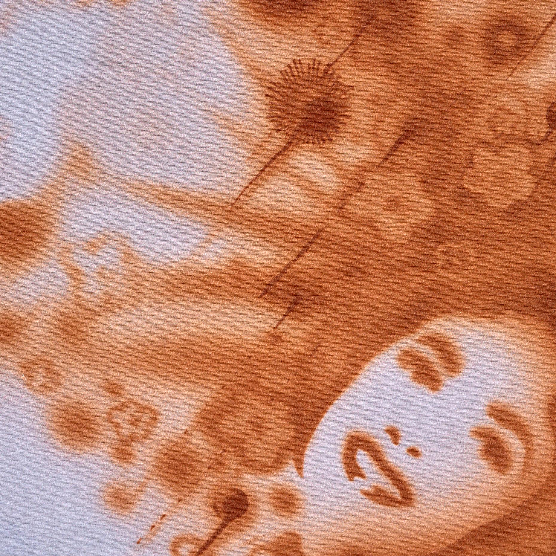 Popeline, Cotone, Stampato, Fair Orchid&Mellow Rose (F000031900) - Trama