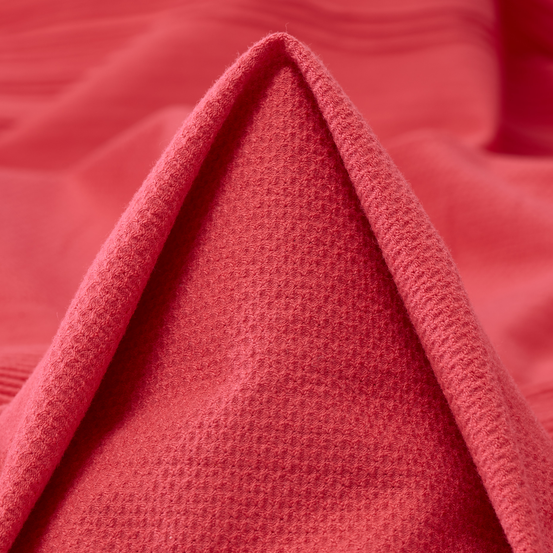 JERSEY, COTTON, COTTON, DEEP SEA CORAL (F000030580)