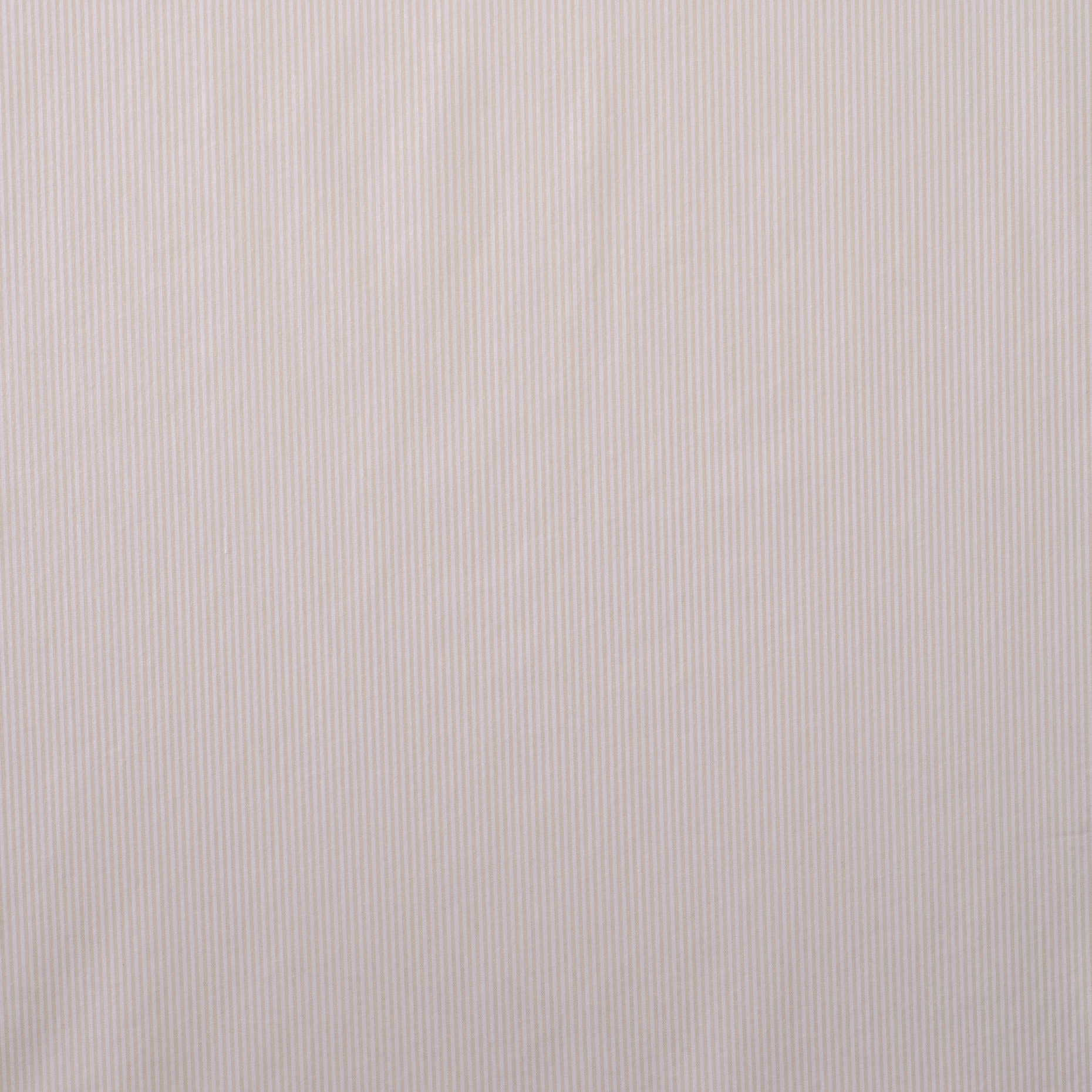 Popeline, Cotone, Rigato, Bellini&Brilliant White (F000007081) - Trama