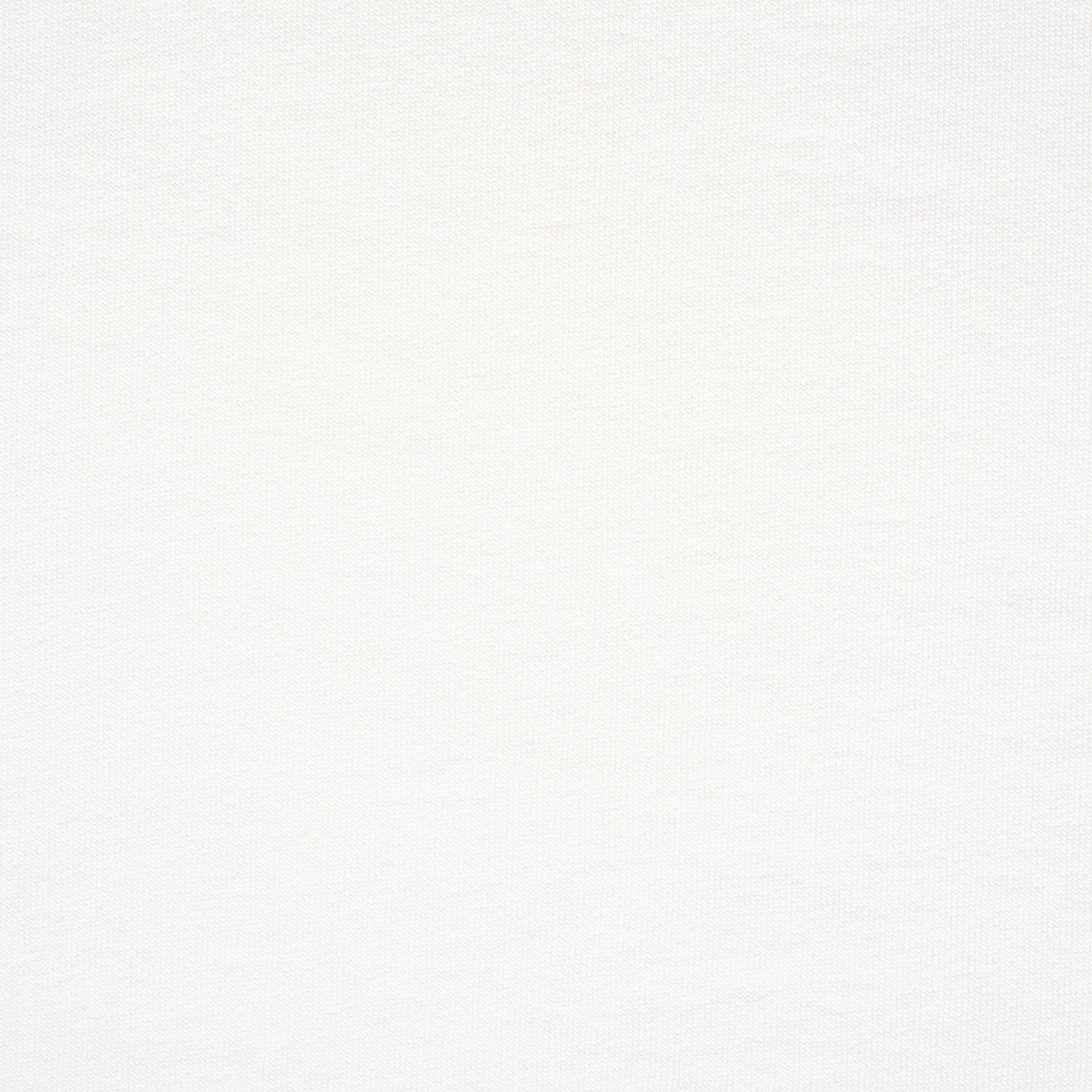 FRENCH TERRY, COTTON, COTTON, SNOW WHITE (F000038235) - Texture