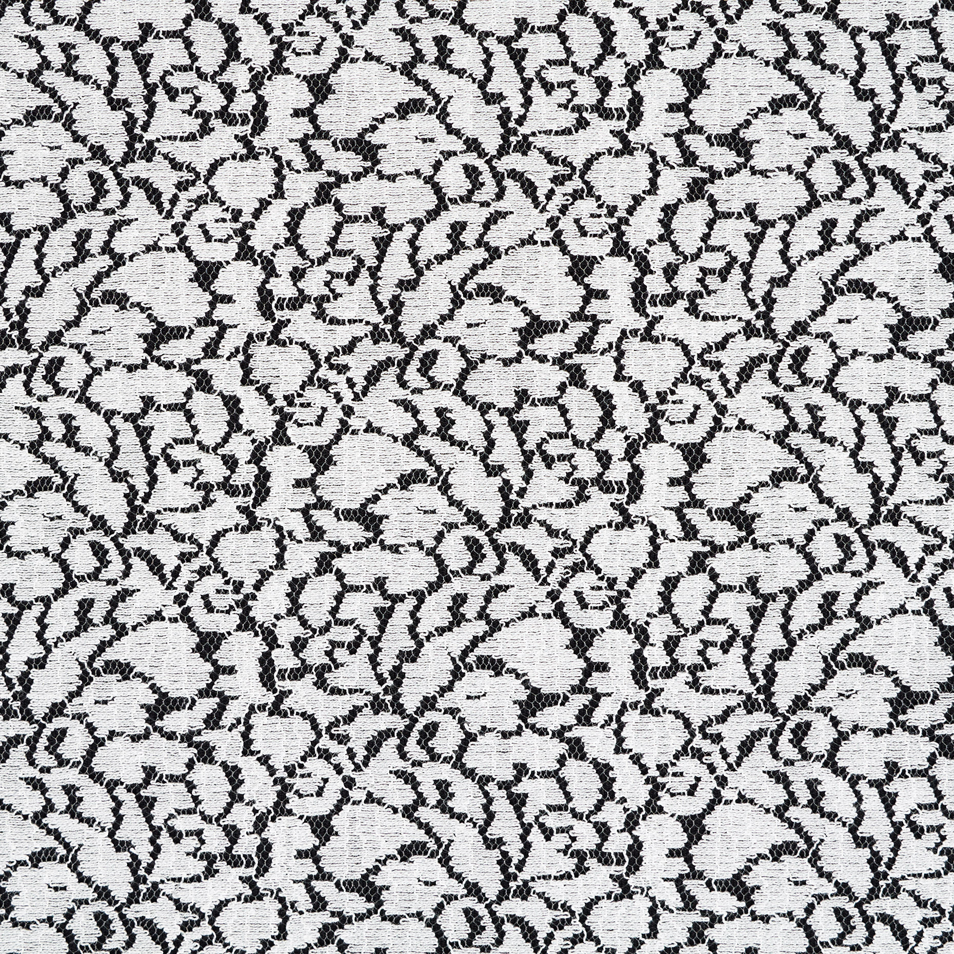 Encaje, Algodón, Brilliant White (F000045984) - Tejido