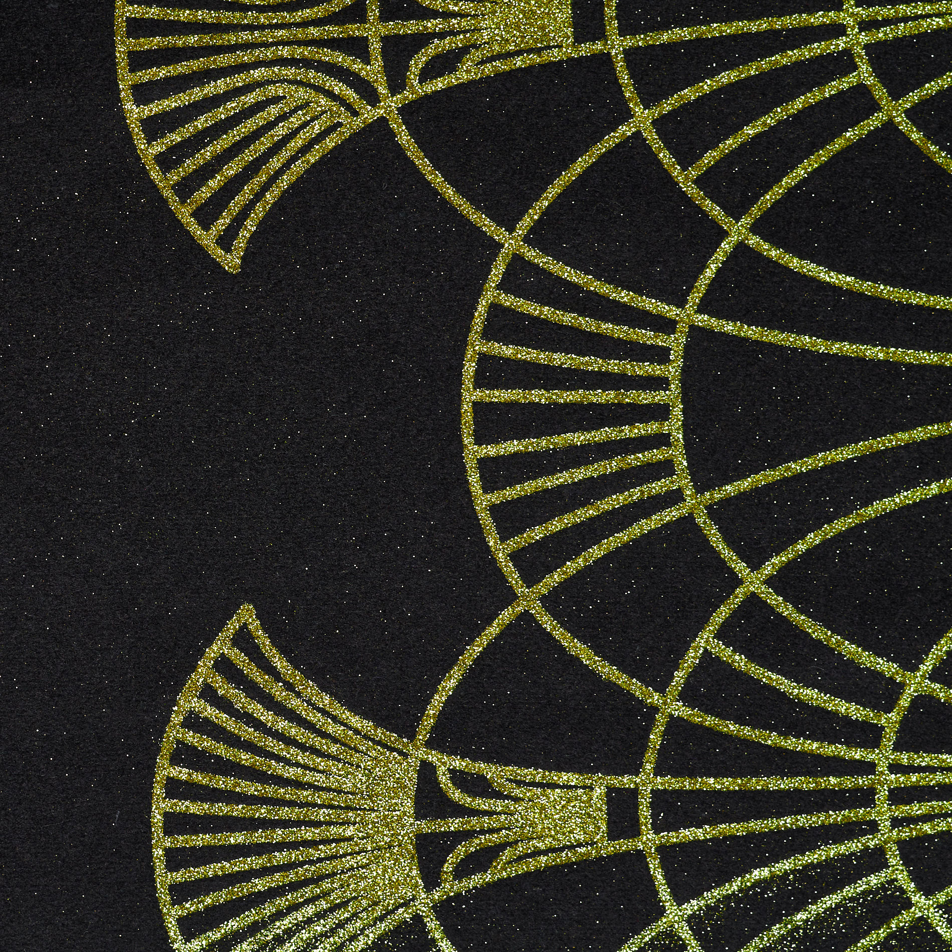 Drap, Lana, Raven Black (F000034221) - Trama