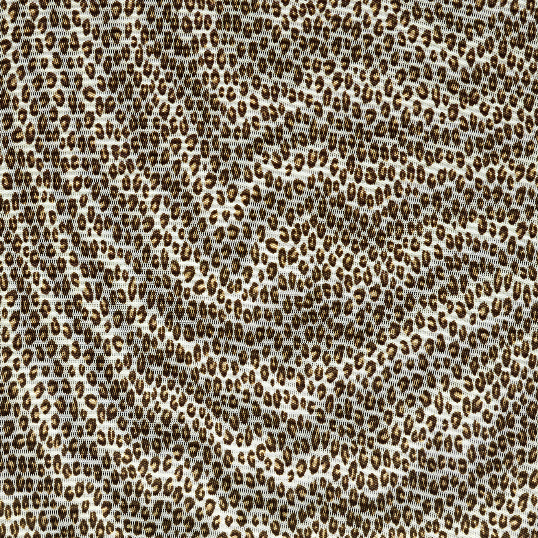 Jersey, Stampato, Animalier, White Onyx&Affogat (F000046340) - Trama
