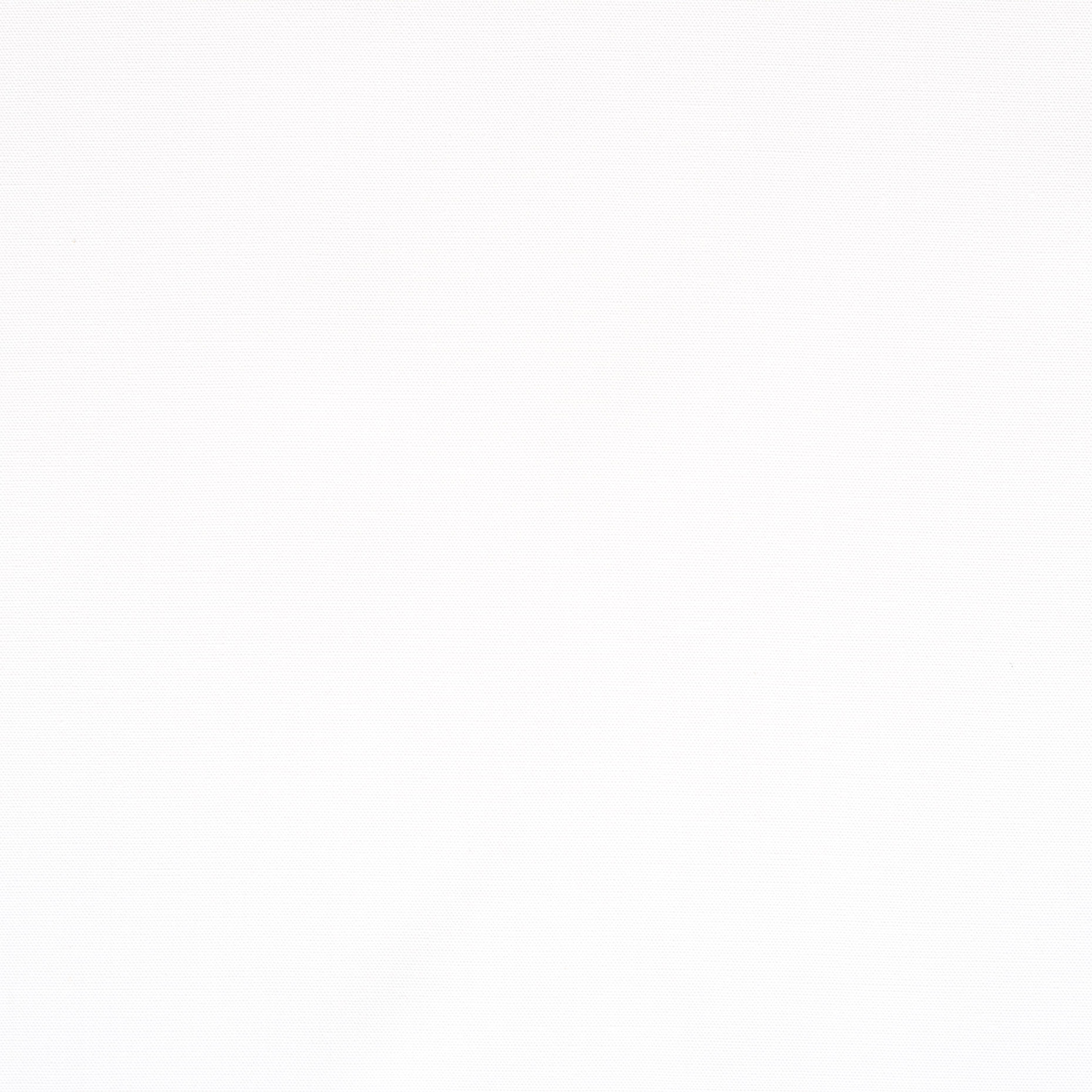 POPLIN, COTTON, BRILLIANT WHITE (F000046344) - Texture