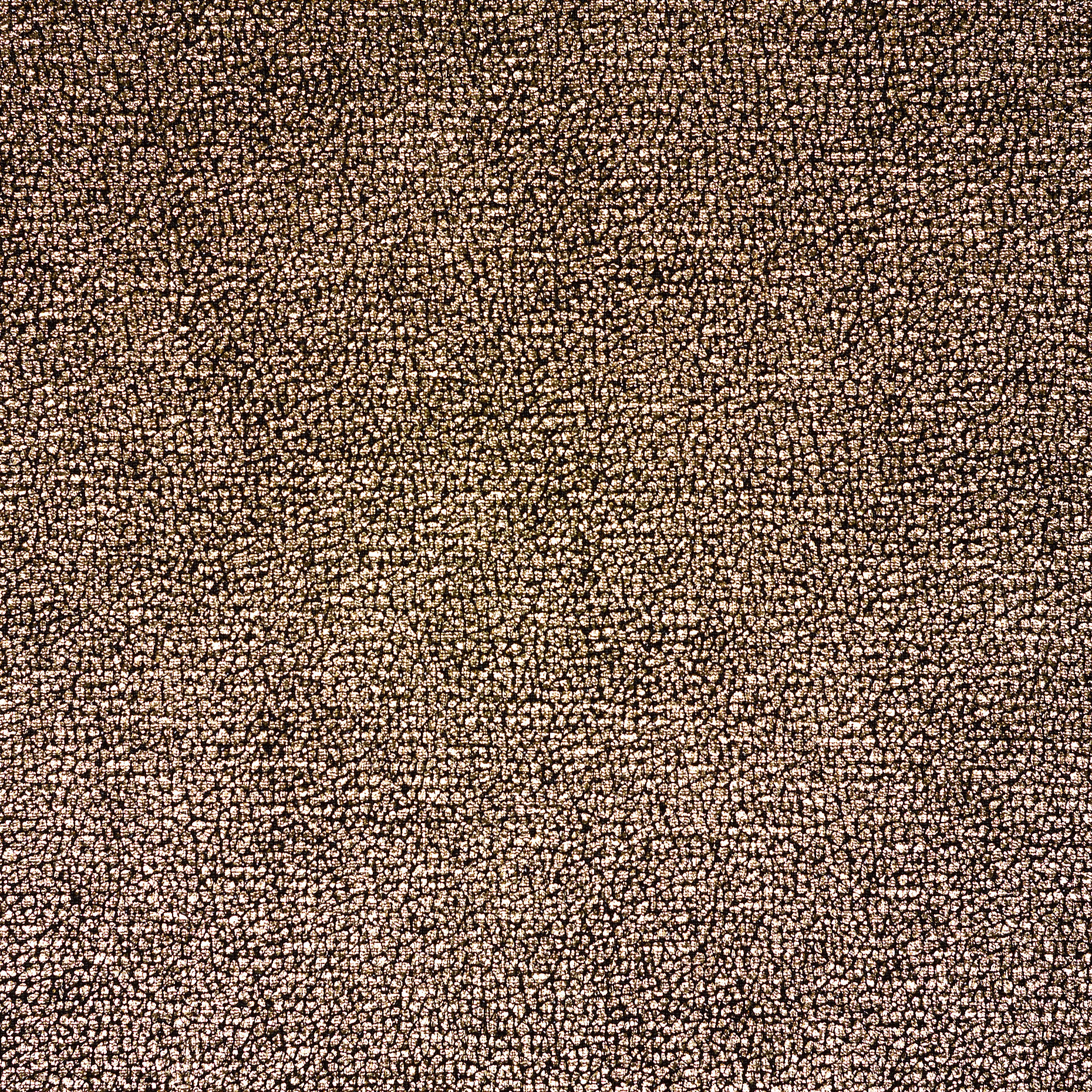 JERSEY, METALLIC, PRINTED, RAVEN BLACK&PALE GOLD (F000037585) - Texture