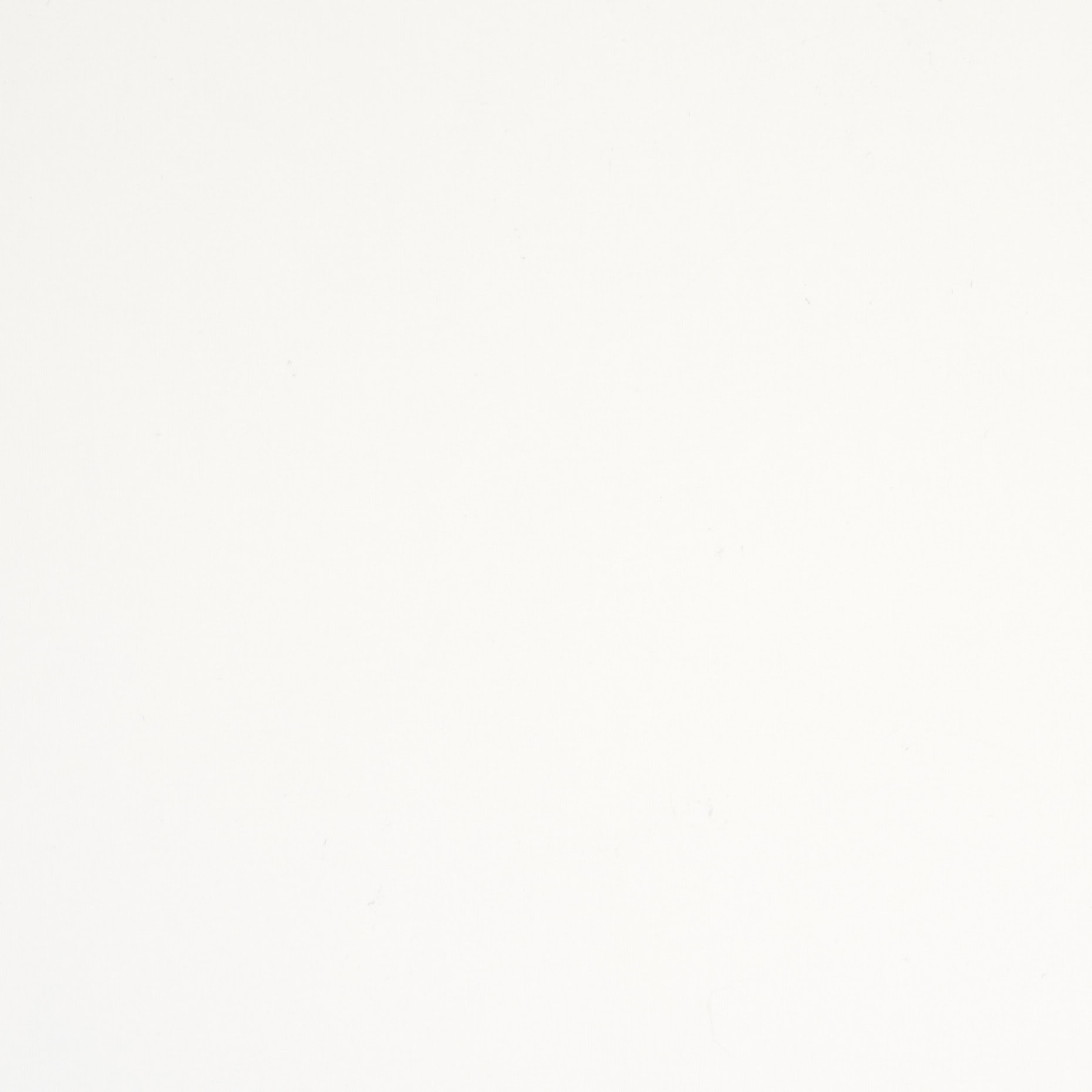 OUTDOOR, NYLON, LUCENT WHITE (F000044800) - Texture