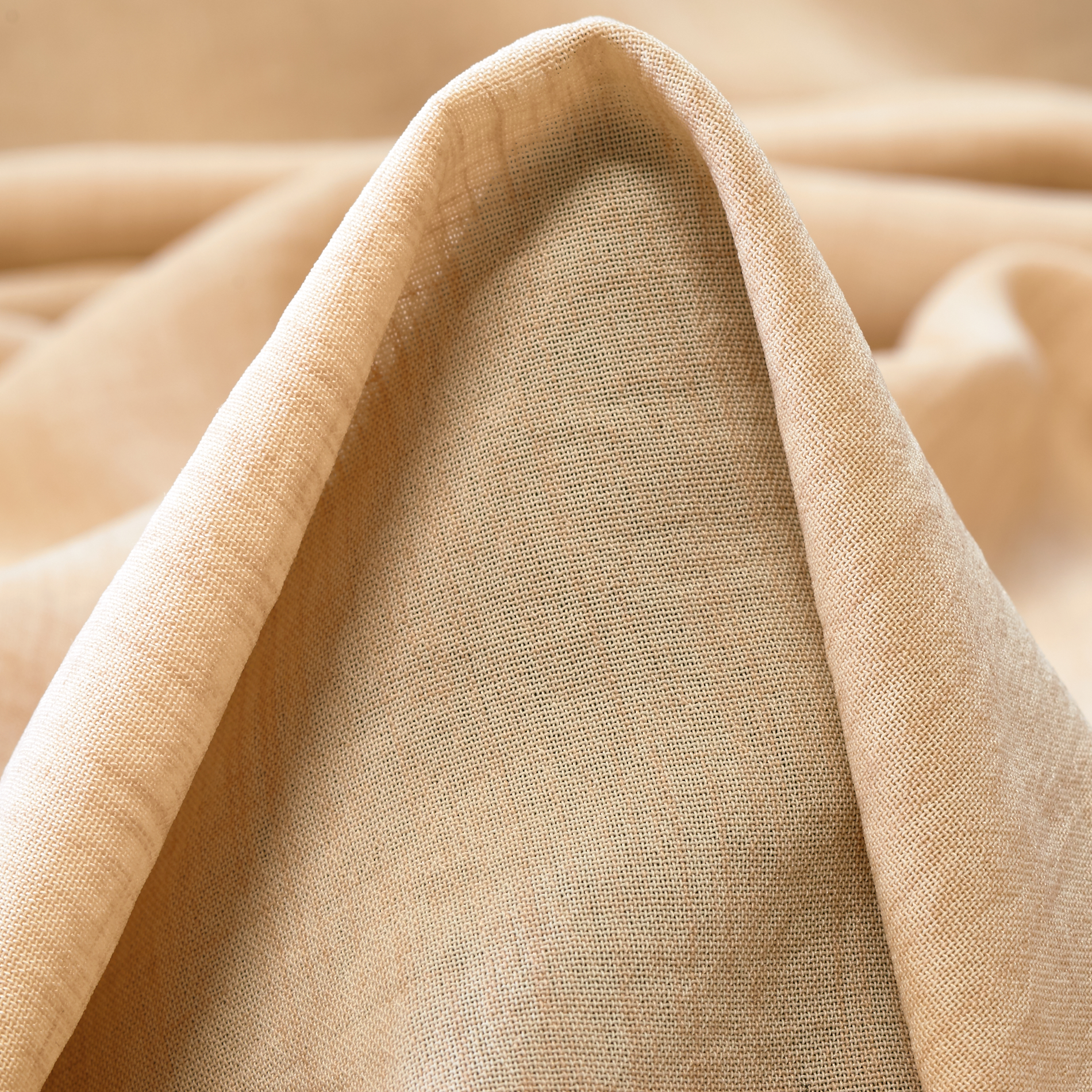 Креп, Biscotti (F000034544)