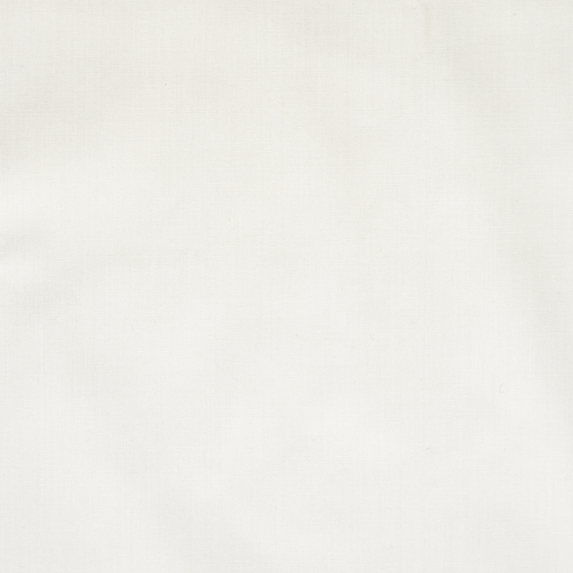 BATISTE, COTTON, SNOW WHITE (F000033736) - Texture