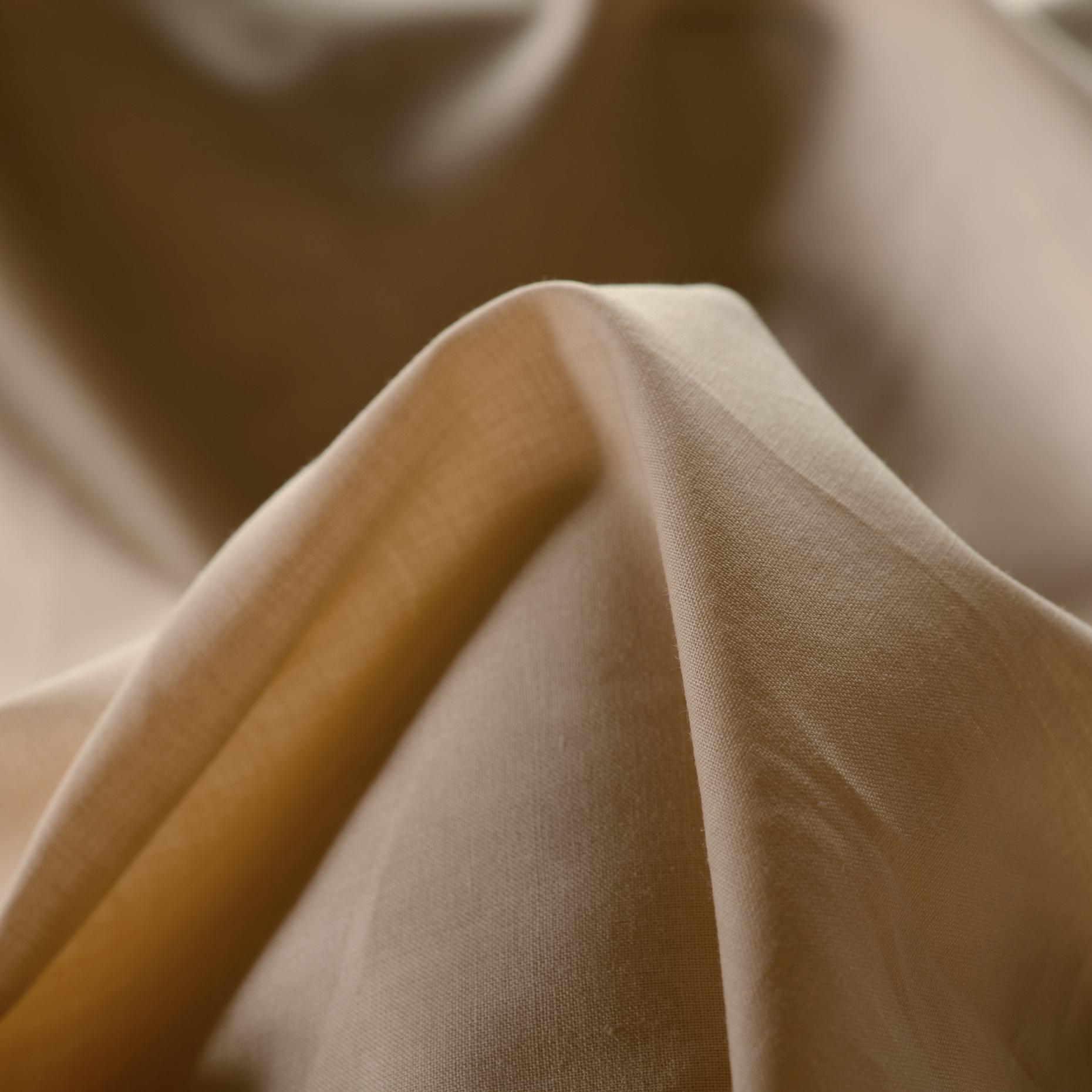 BATISTE, COTTON, SHELL (F000008062)