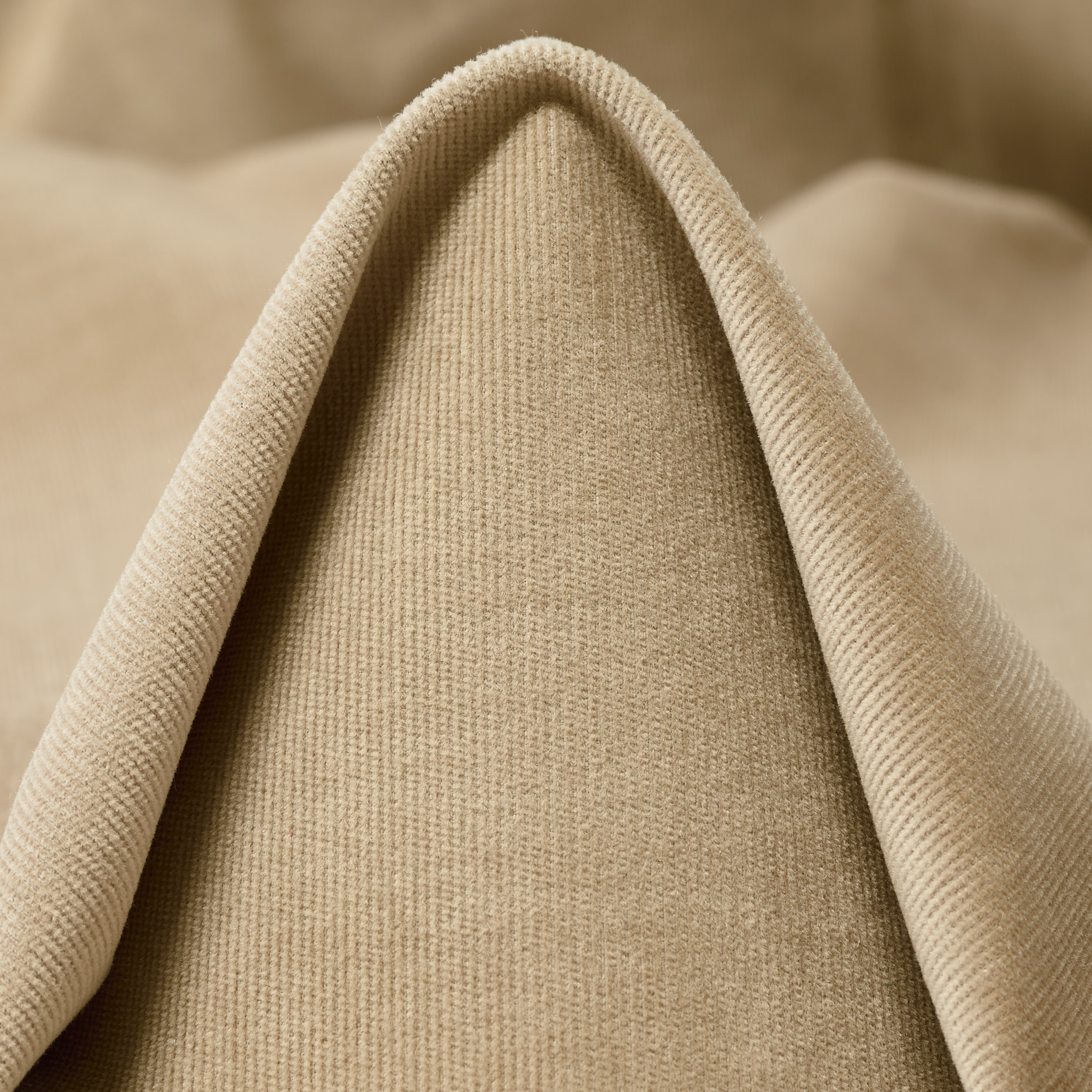 CORDUROY, ELASTIC, CORNSTALK (F000045013)
