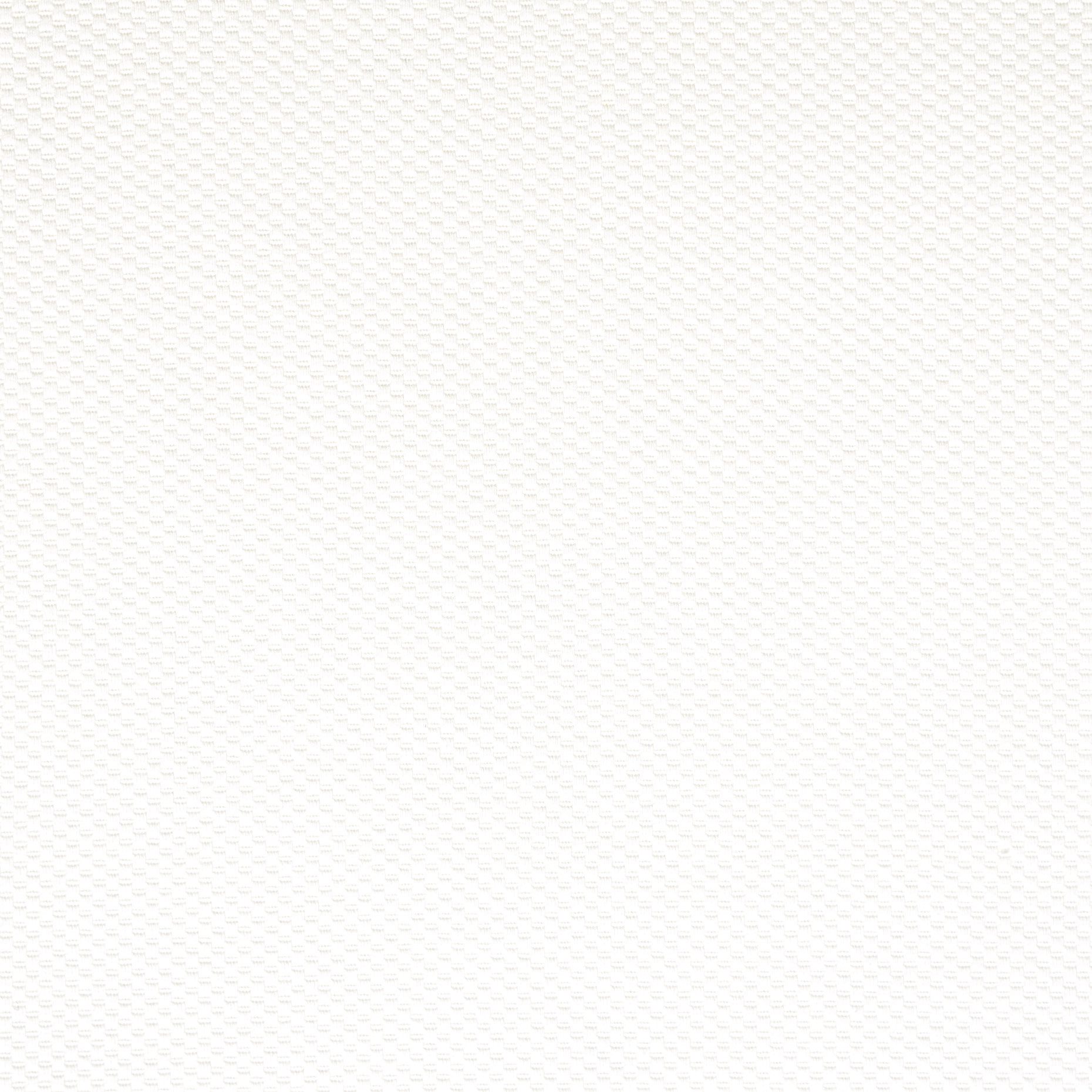 Coton , Élastique, Micro Structure , Snow White (F000044935) - Tissage