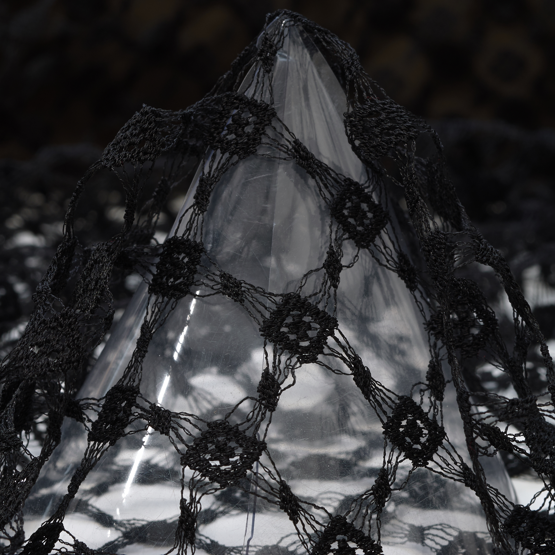 LACE, SILK, PRINTED, RAVEN BLACK (F000034400)