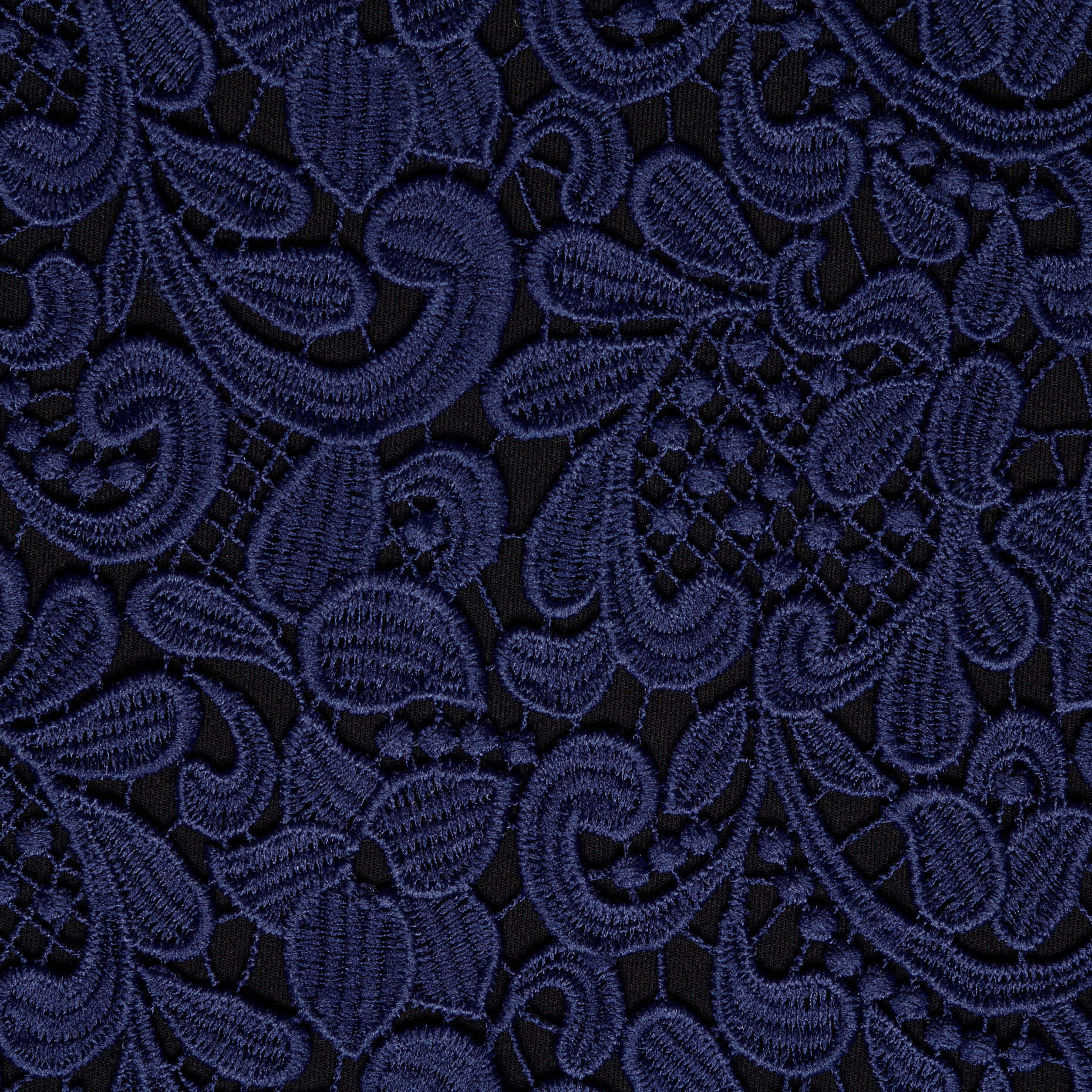 LACE, FLORAL, BLUE DEPTHS (F000043222) - Texture