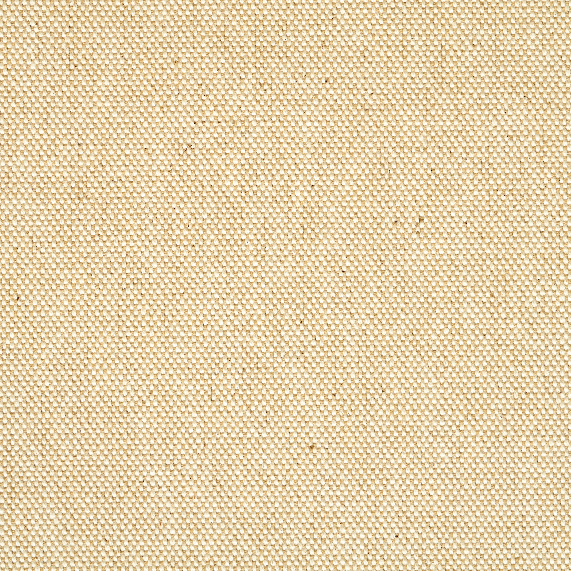 Canvas , Coton, Bone White (F000046603) - Tissage